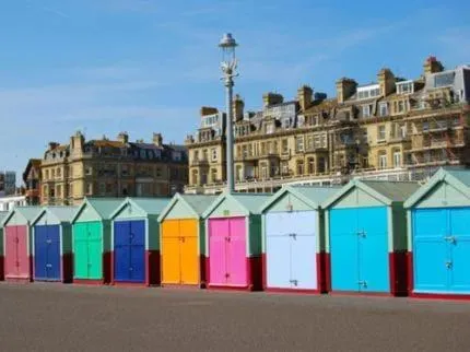 Other in Albany, Brighton & Hove