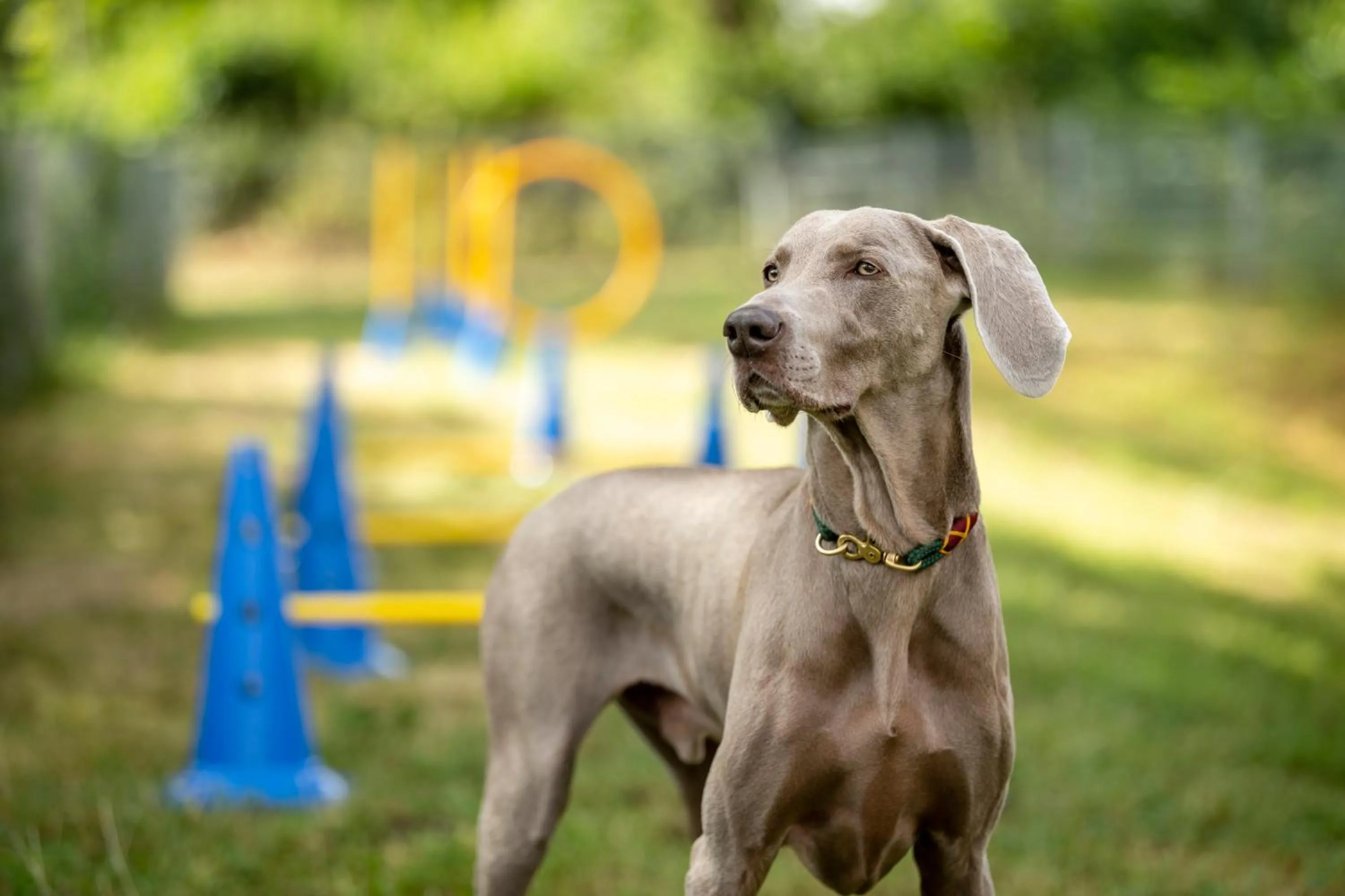 Activities in Hotel am Haslinger Hof