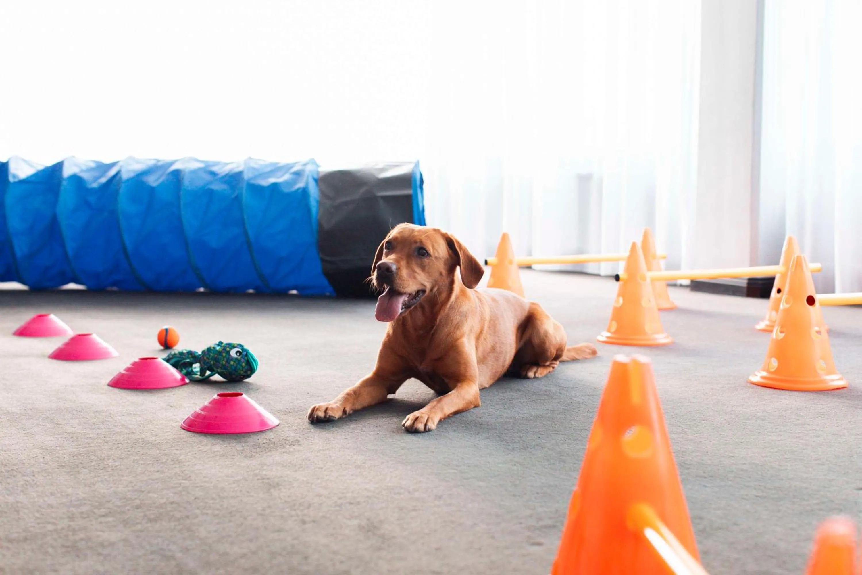 Other in Radisson Blu Arlandia Hotel, Stockholm-Arlanda