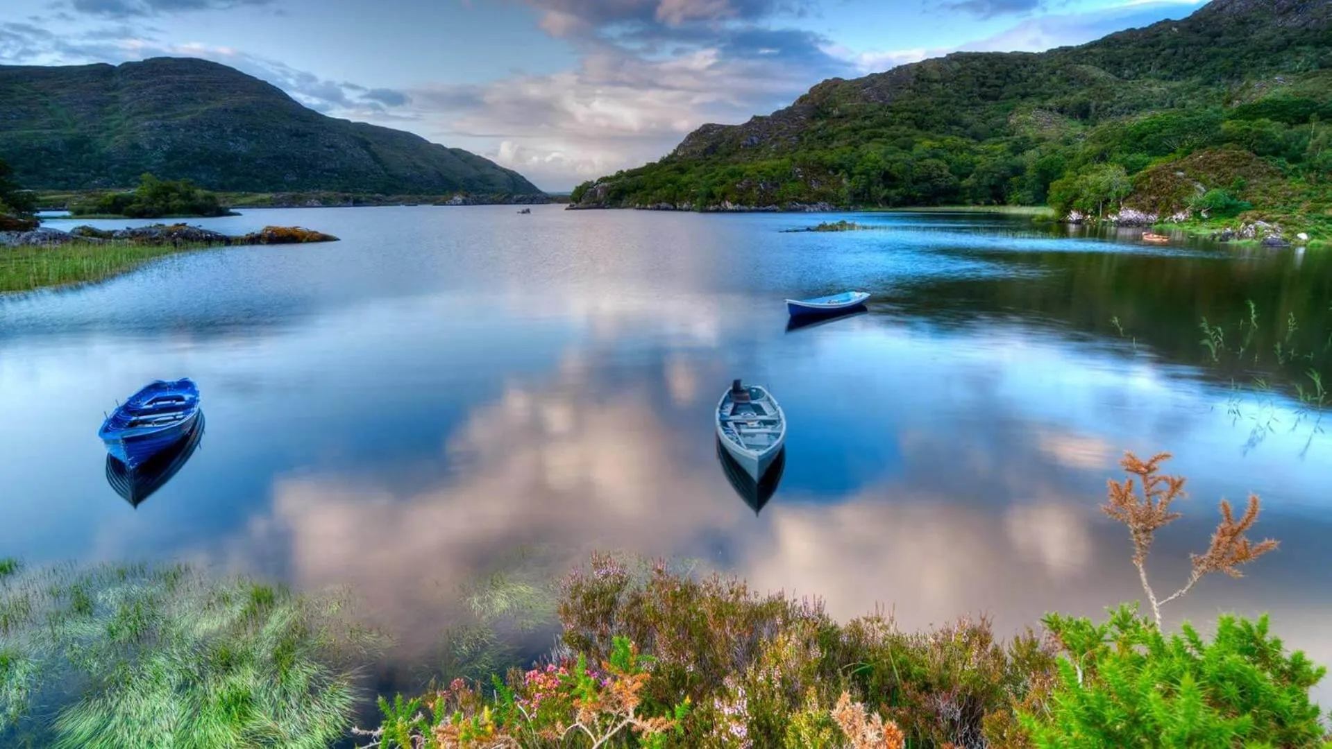 Natural landscape in Muckross Park Hotel & Spa