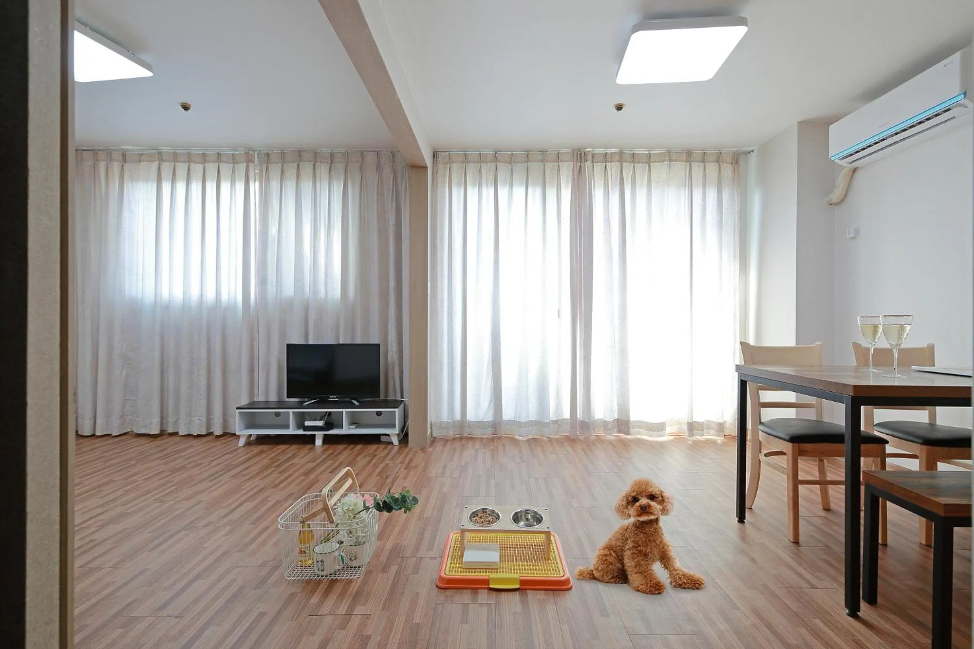Pets in Ocean 2 You Resort Seorak Beach Hotel & Condo