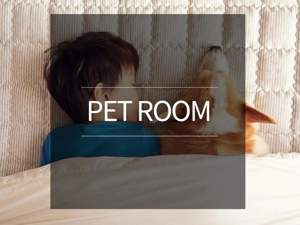 Pets in Ocean 2 You Resort Seorak Beach Hotel & Condo