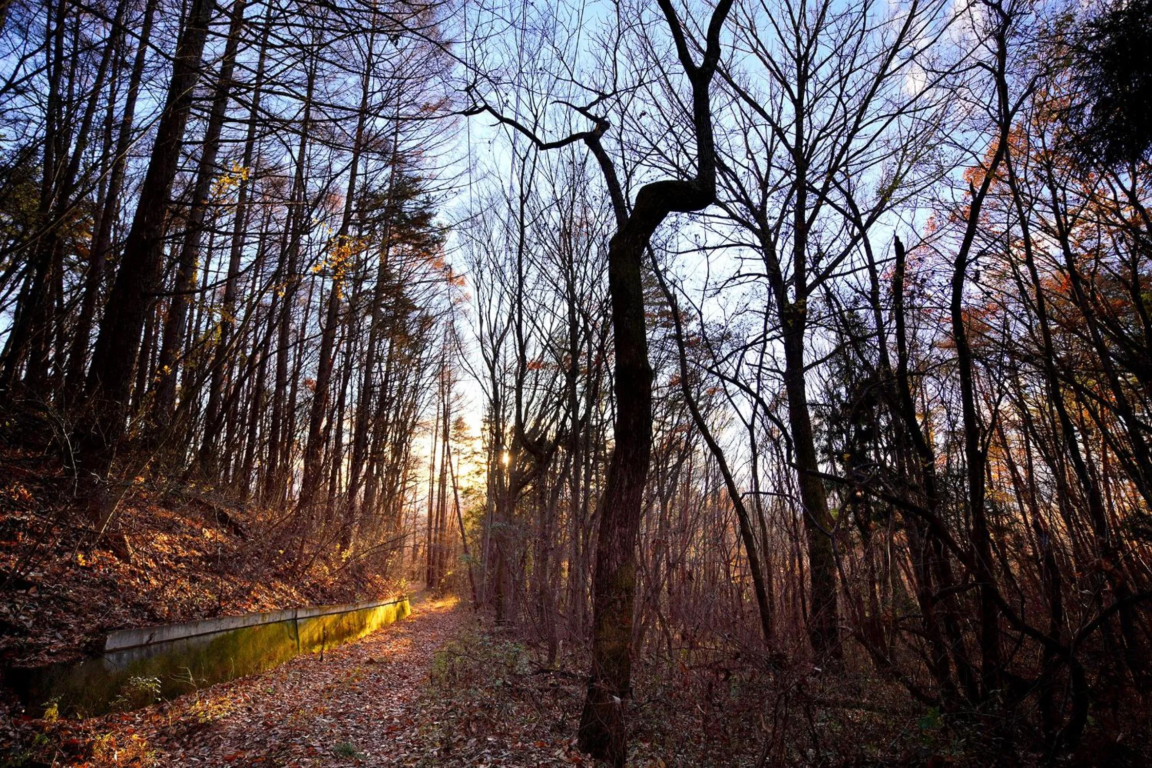 Natural landscape in Hutte Lied