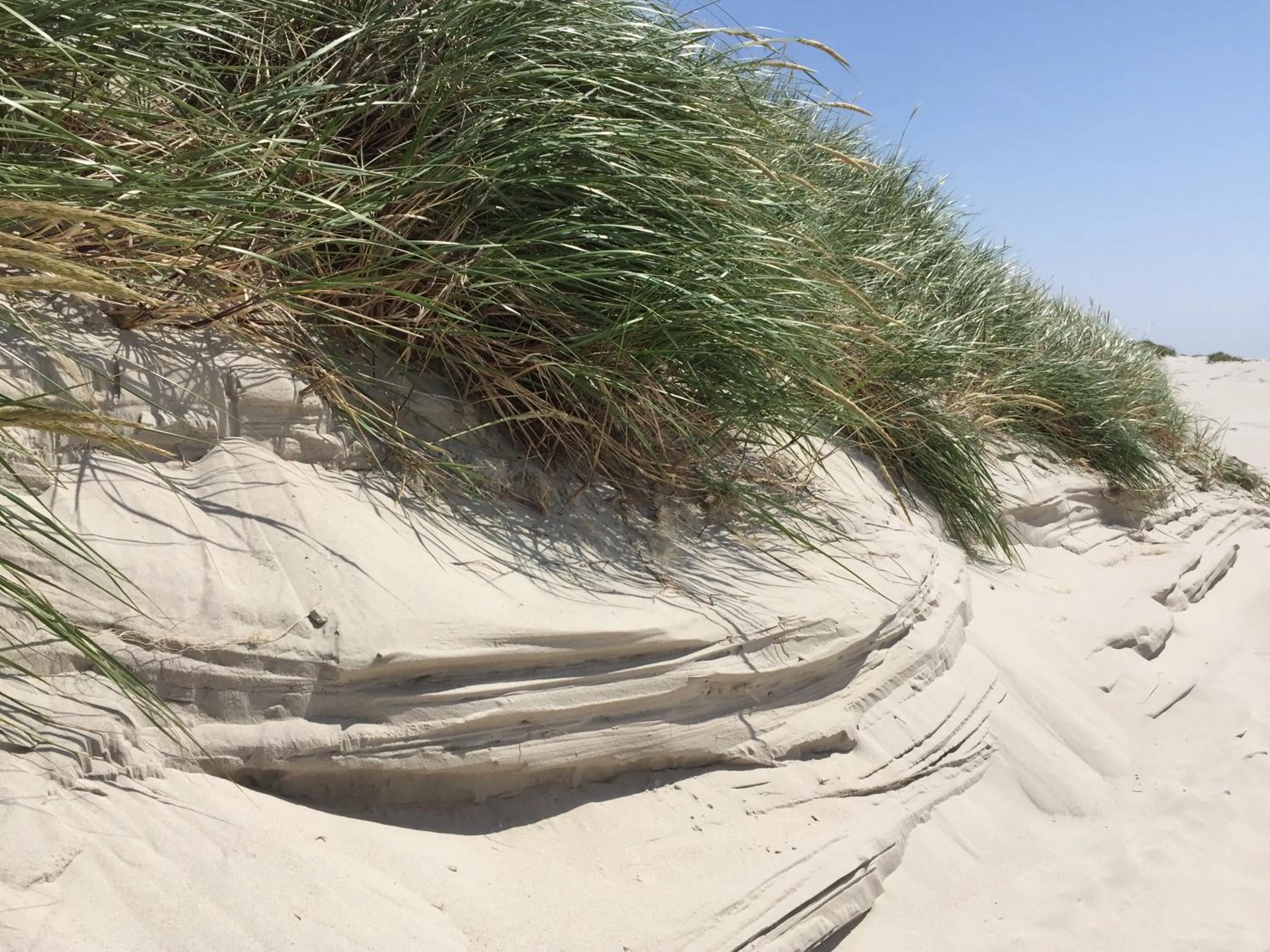 Beach in Hotel Restaurant Friedrichs