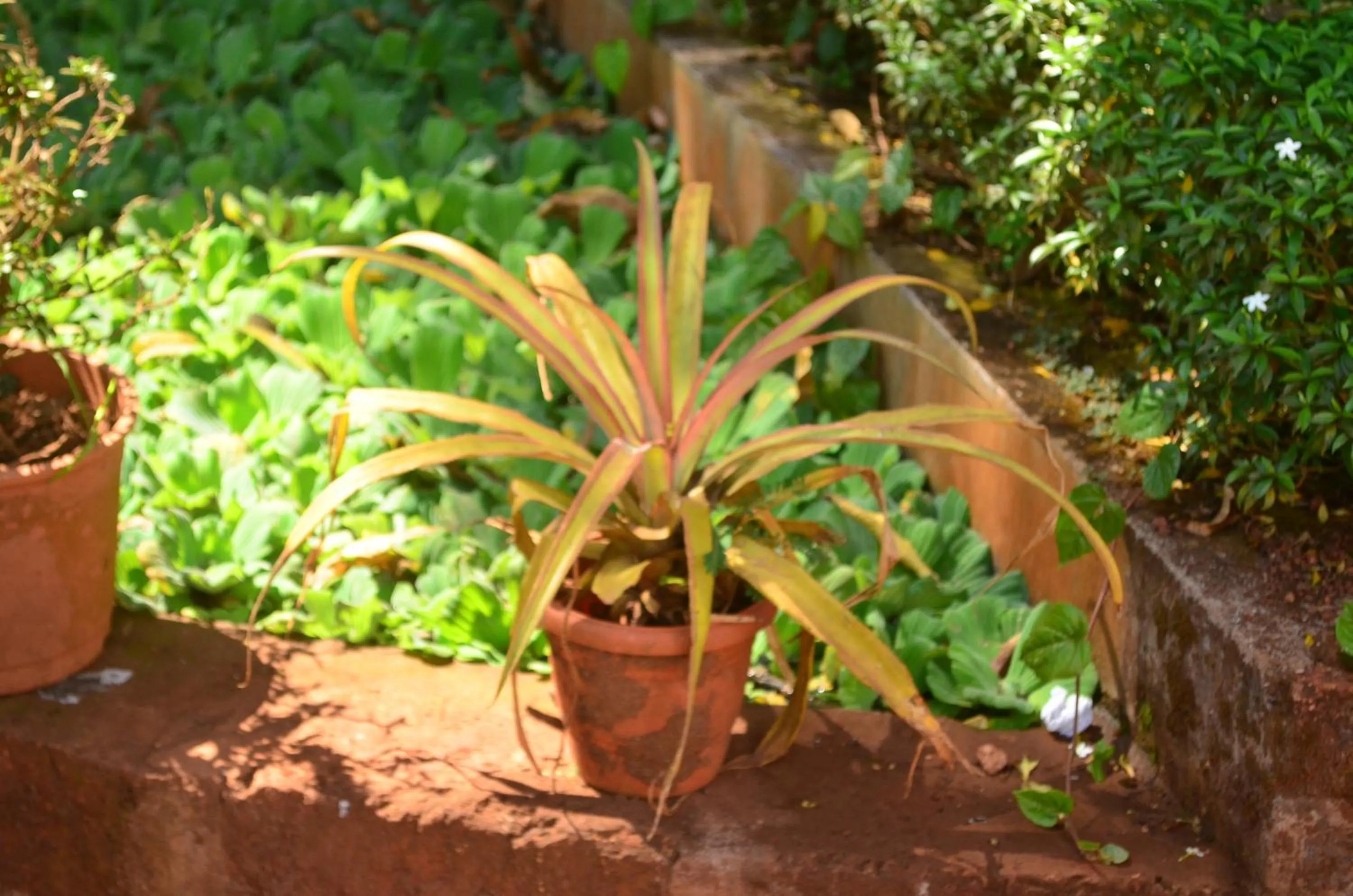 Kaular Atithis Grand Kokan Resort