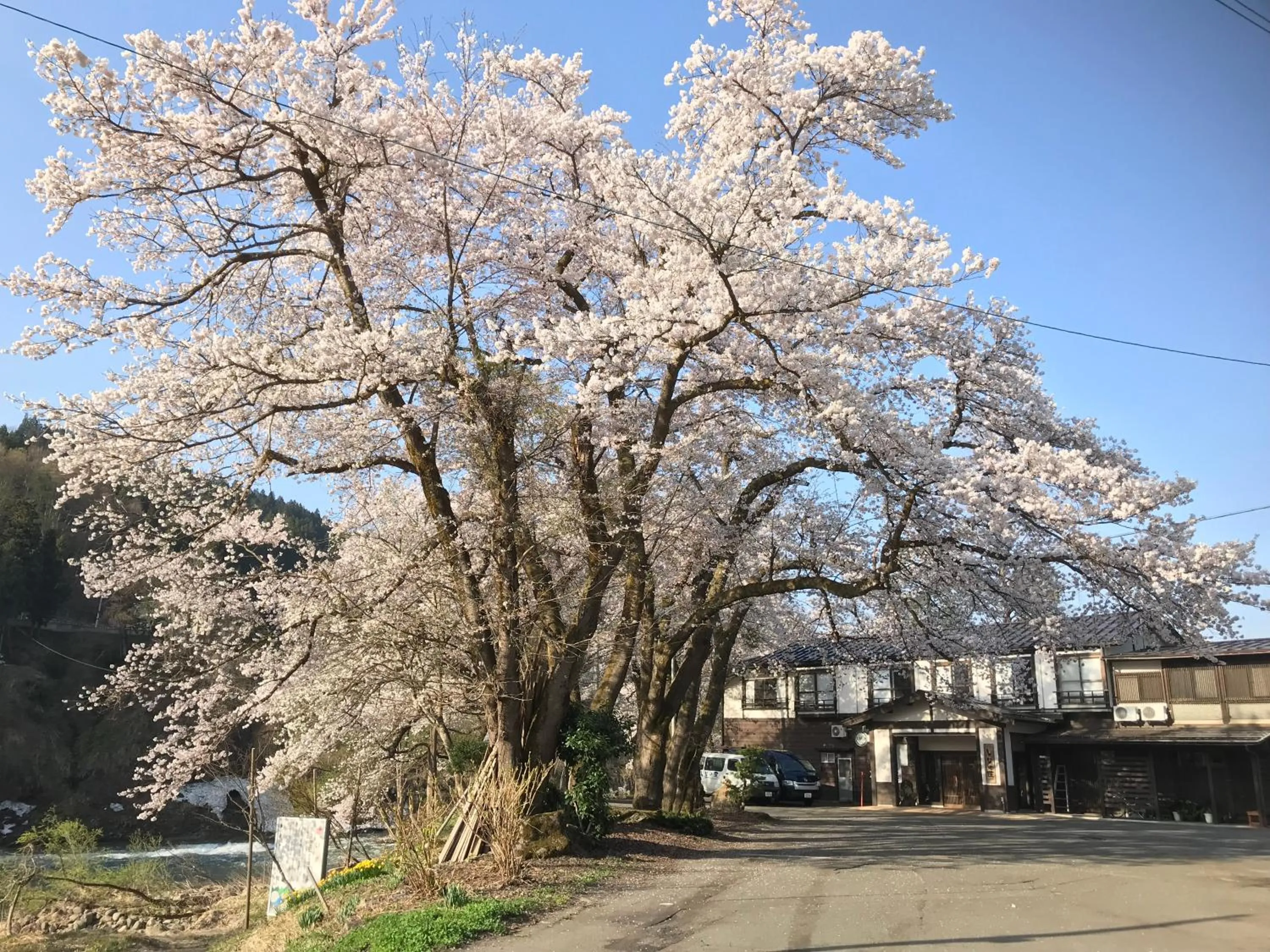 Property building in Shinano Sou