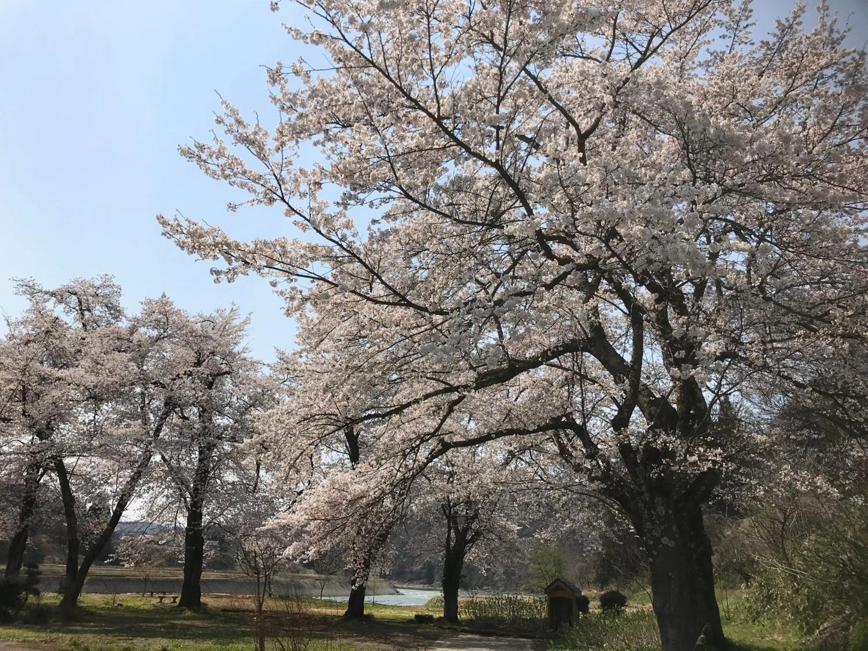 Natural landscape in Shinano Sou