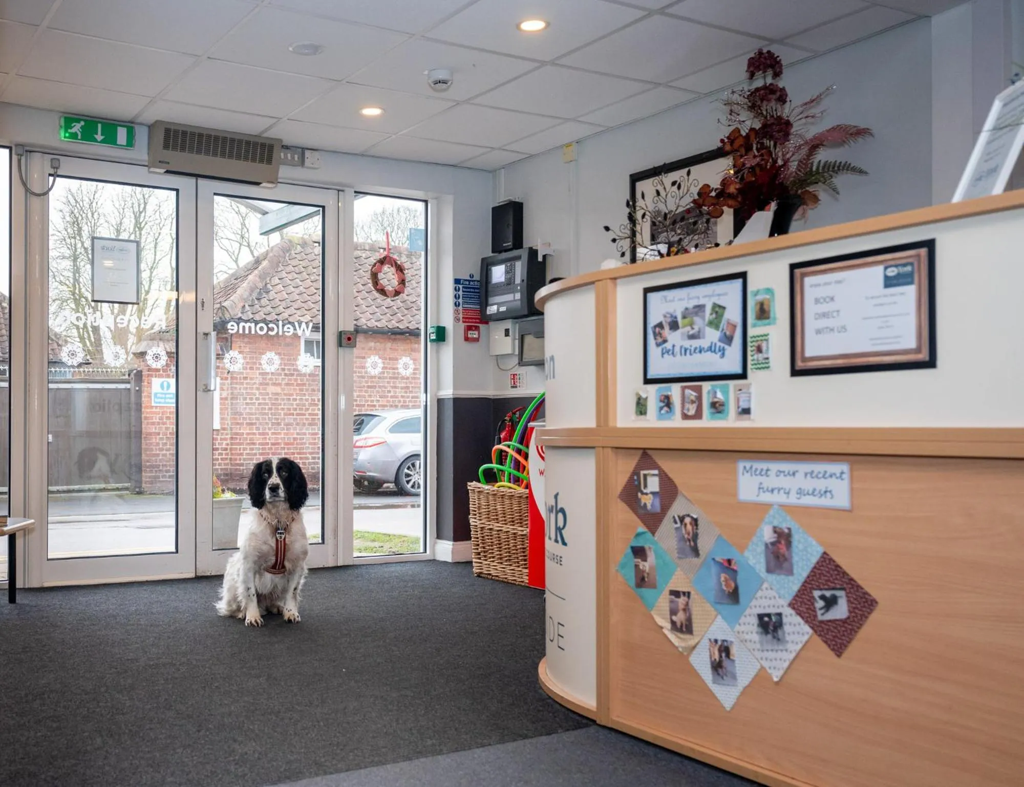 Pets in Stableside Hostel at York Racecourse