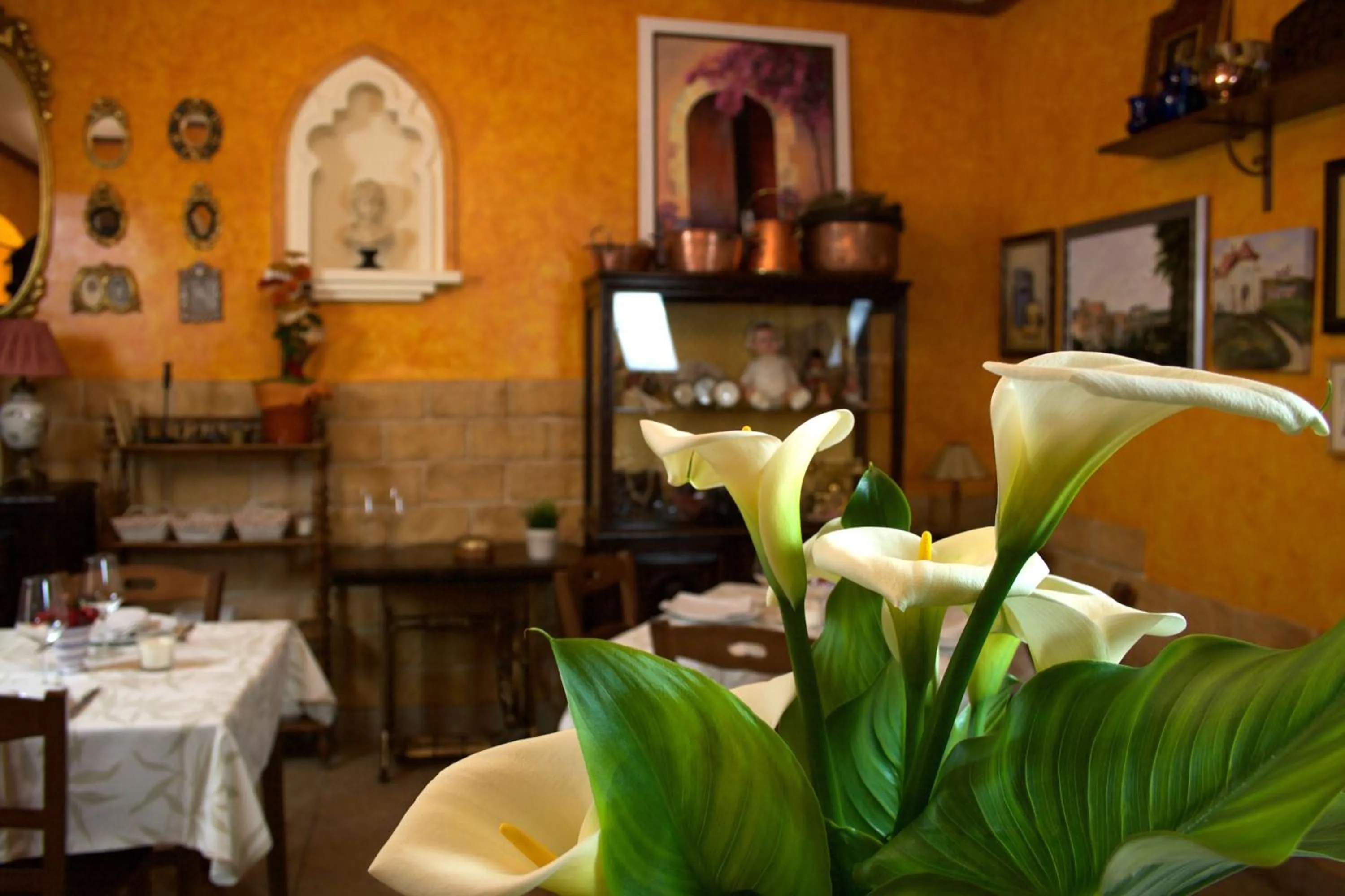 Restaurant/places to eat in Hostal El Palacio