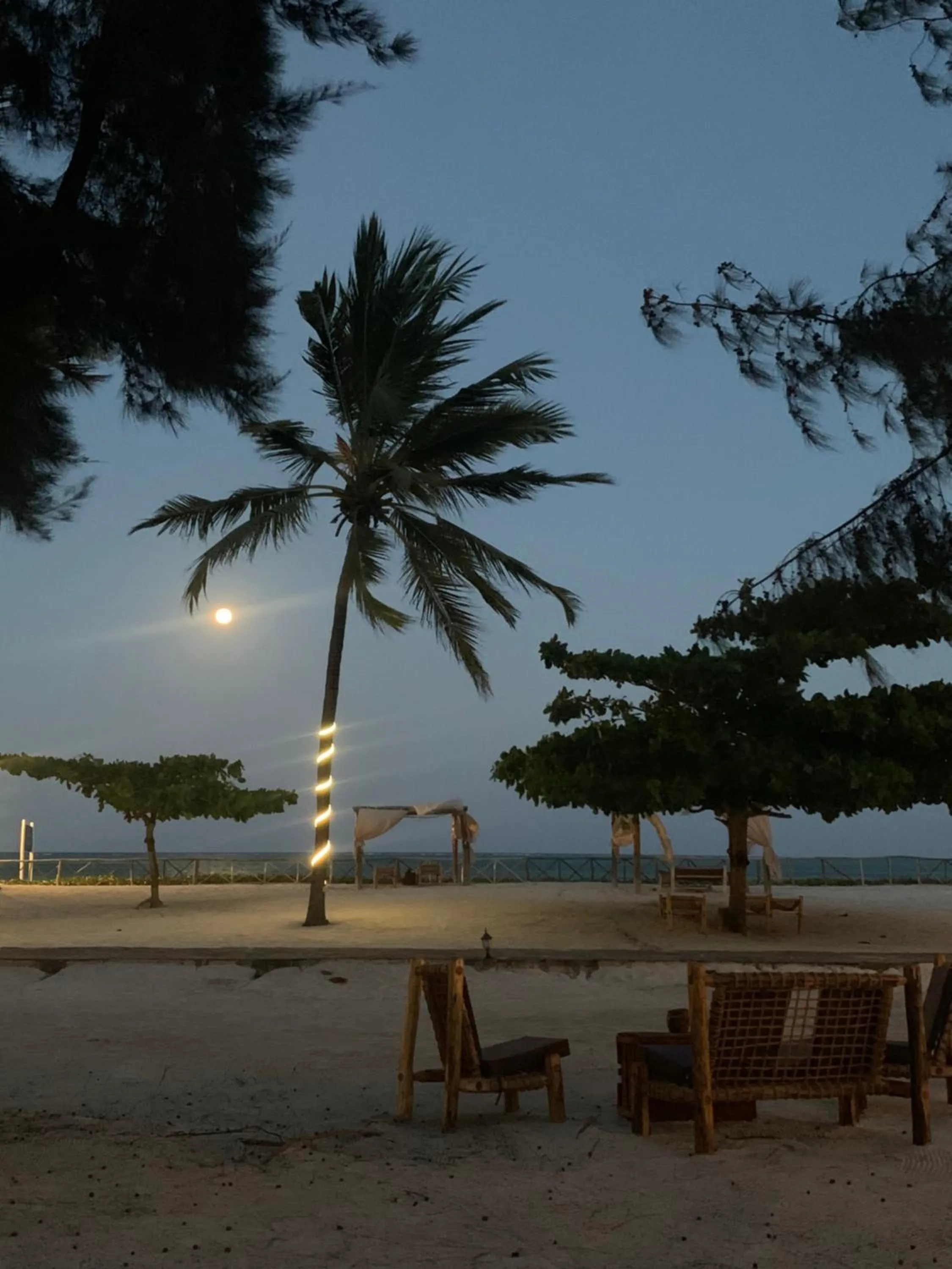 Beach in VRclub Paje Palms Beach Resort