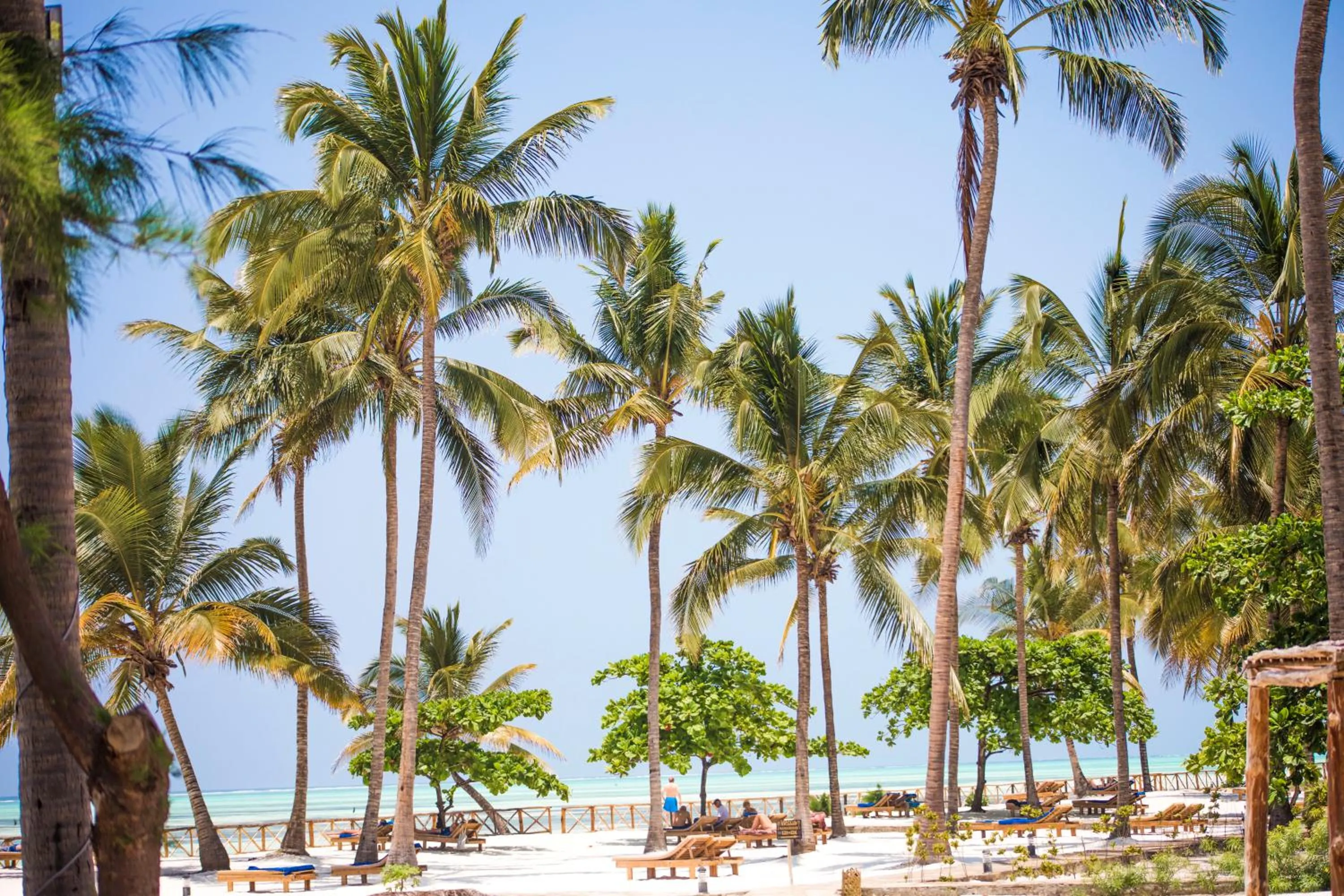 Beach in VRclub Paje Palms Beach Resort