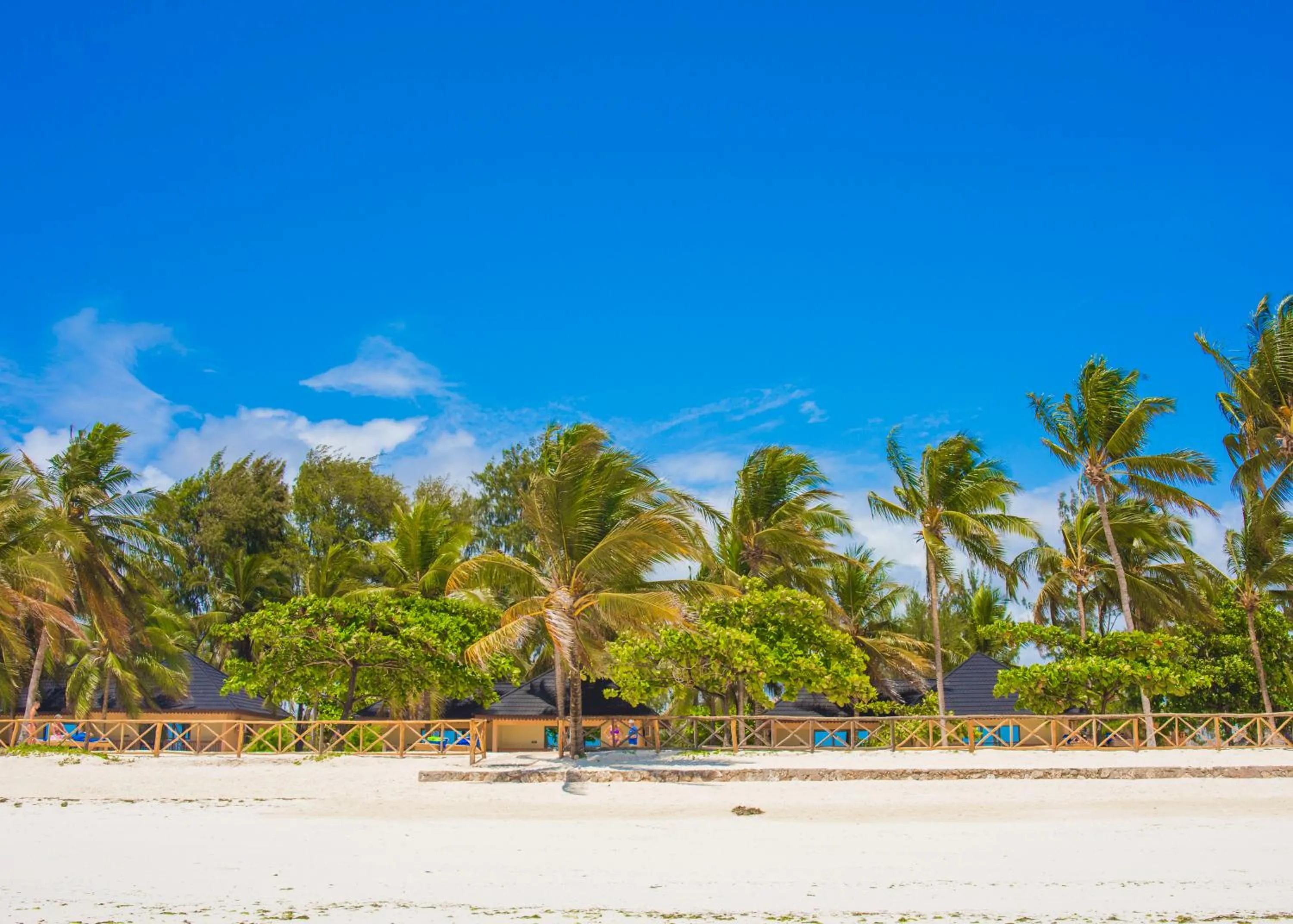 Beach in VRclub Paje Palms Beach Resort