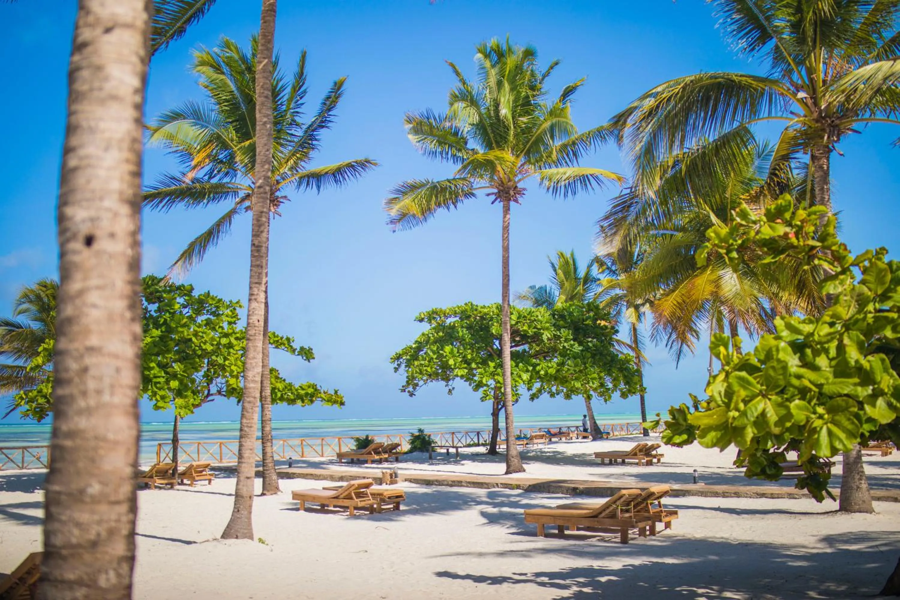 Beach in VRclub Paje Palms Beach Resort