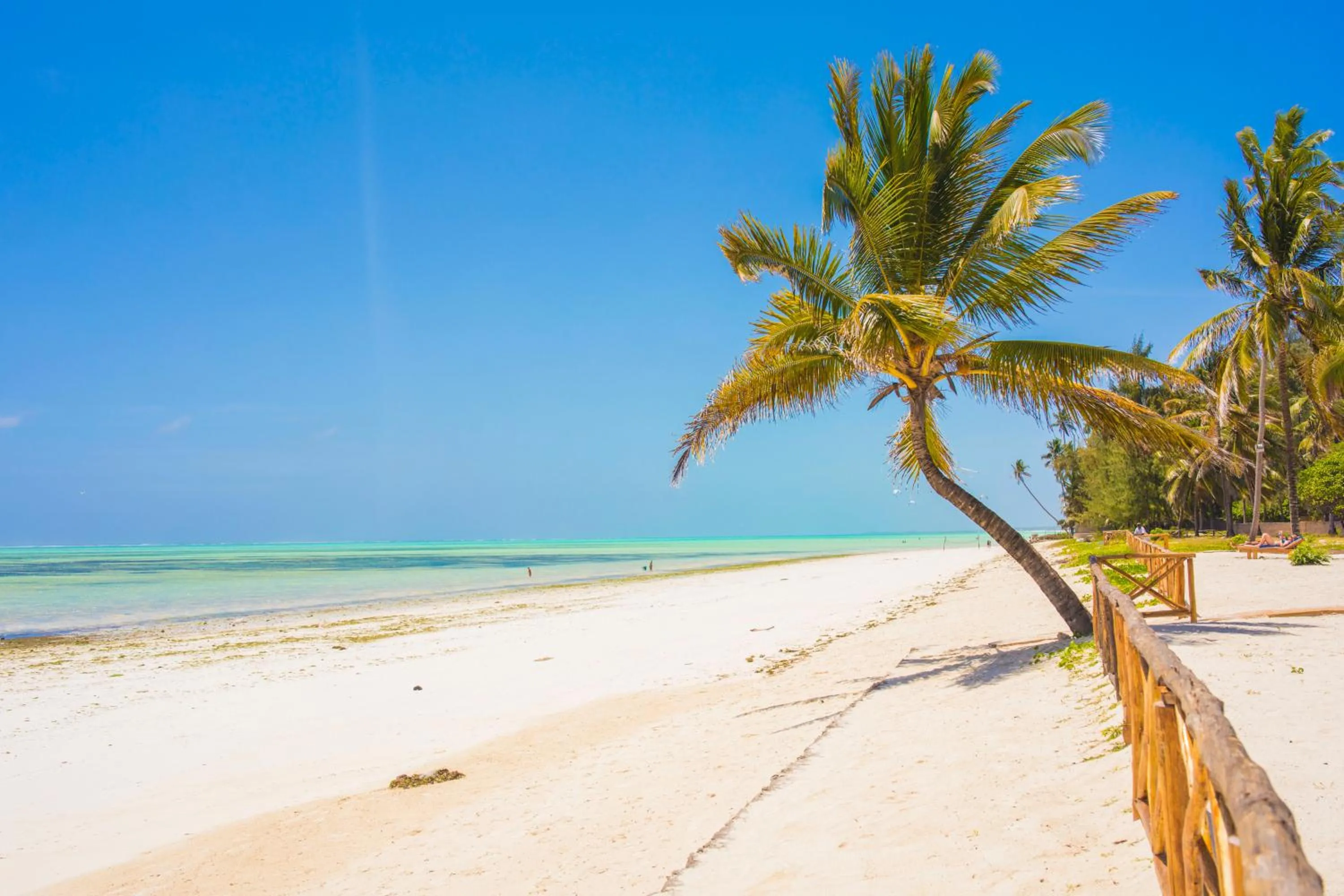 Beach in VRclub Paje Palms Beach Resort