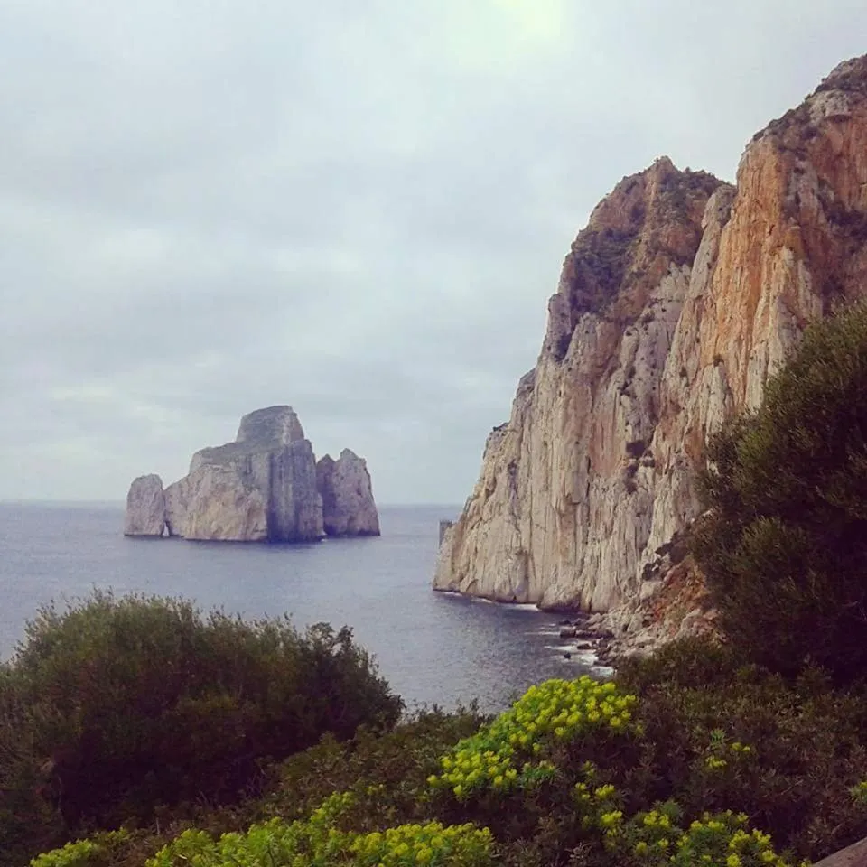 Restaurant/places to eat in B&B Santa Barbara