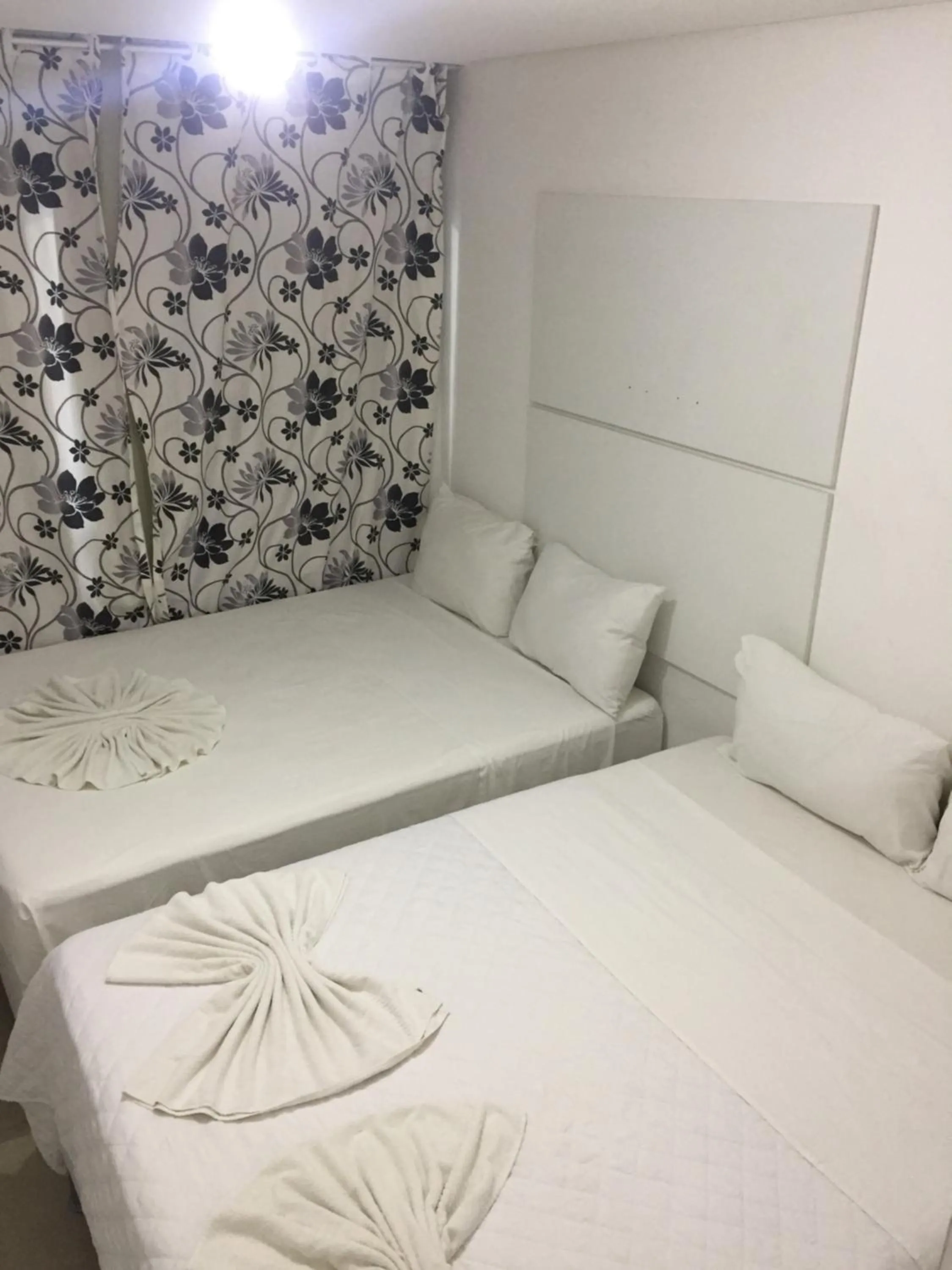 Bed in Manawa Beach Flats Prime