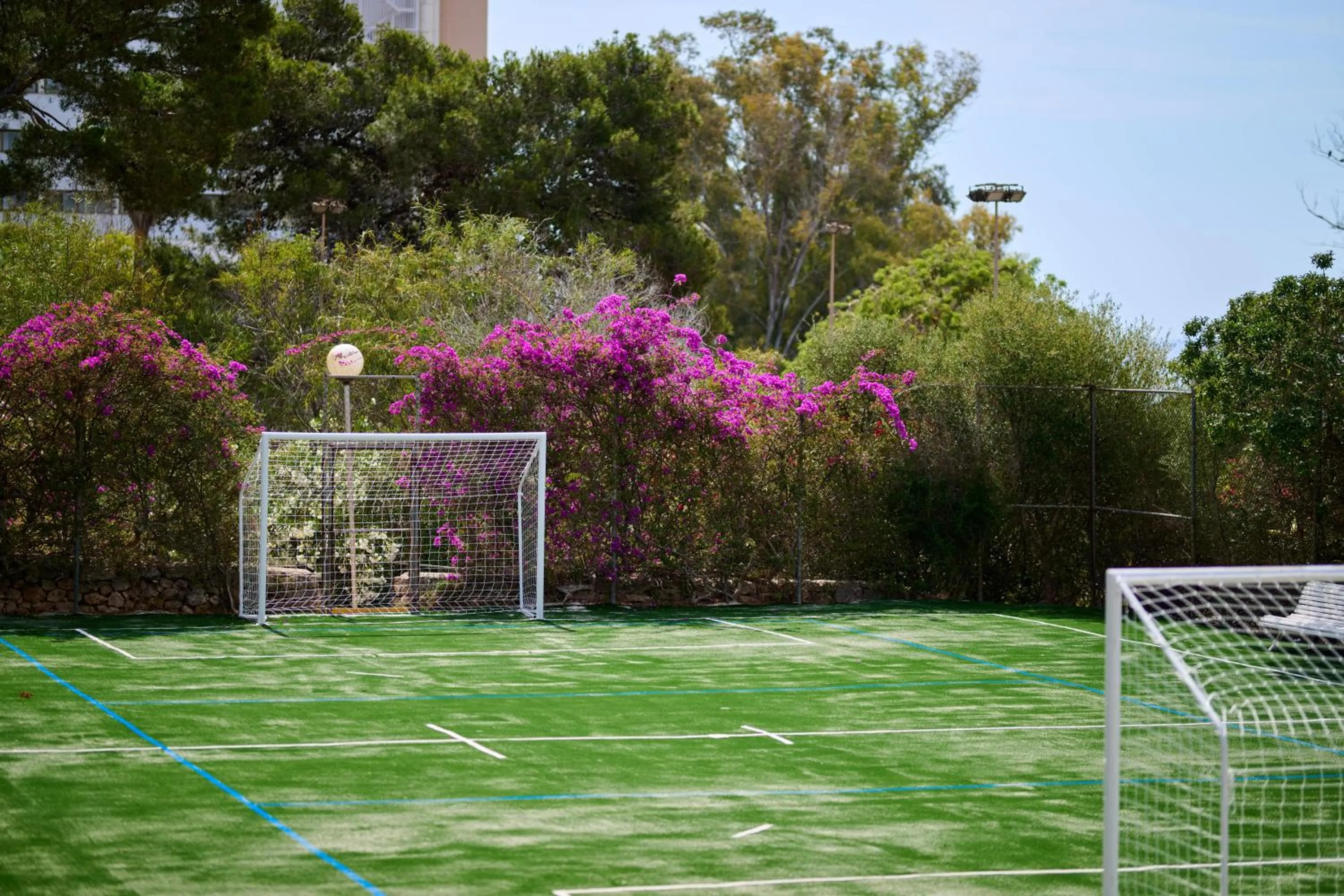 Sports in AluaSun Cala Antena - All Inclusive