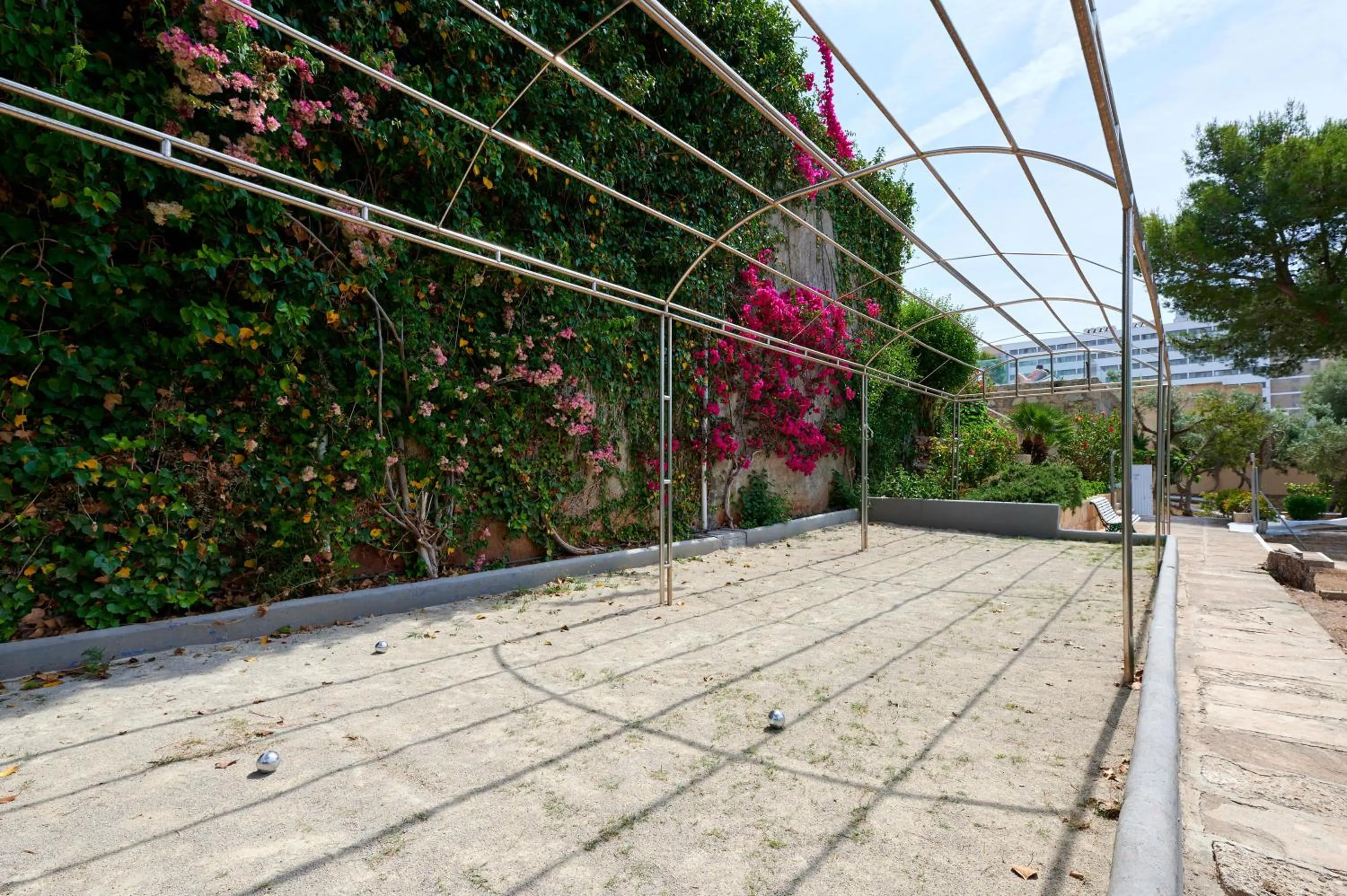 Sports in AluaSun Cala Antena - All Inclusive