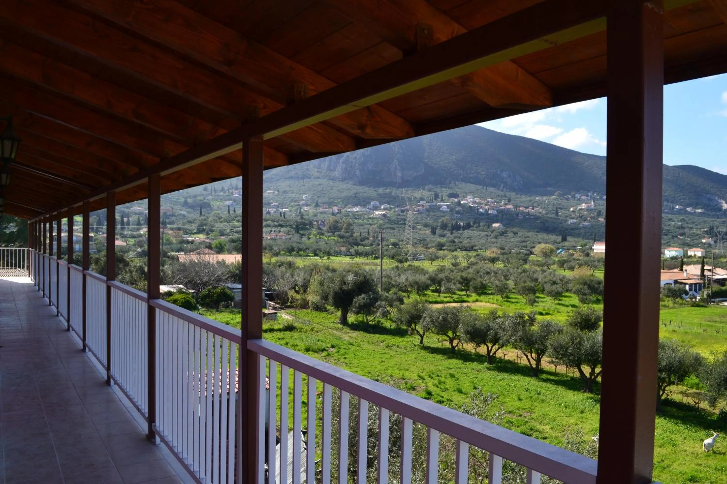 View (from property/room) in Giannis Studios