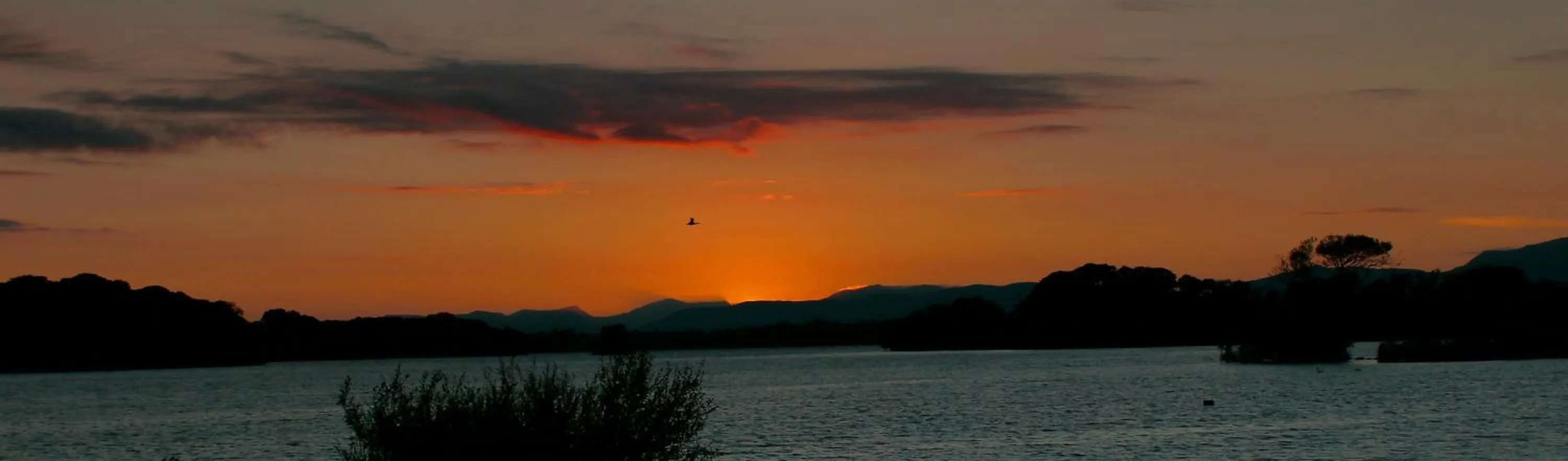Natural landscape in Eviston House Hotel