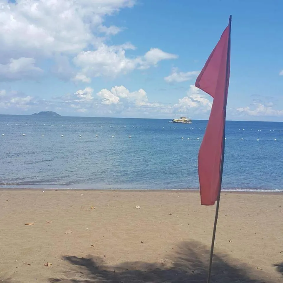 Day in Ceazar's Place