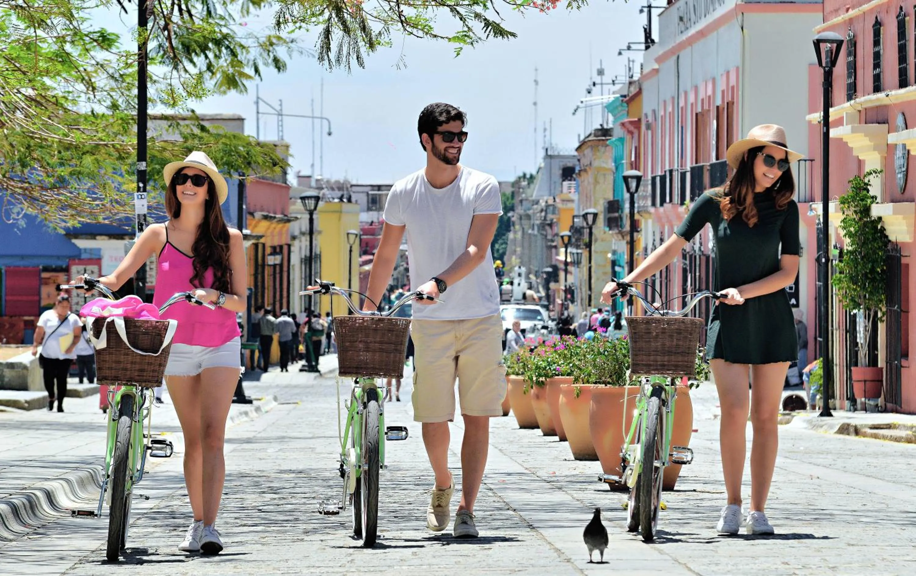 Activities in Hotel Los Amantes