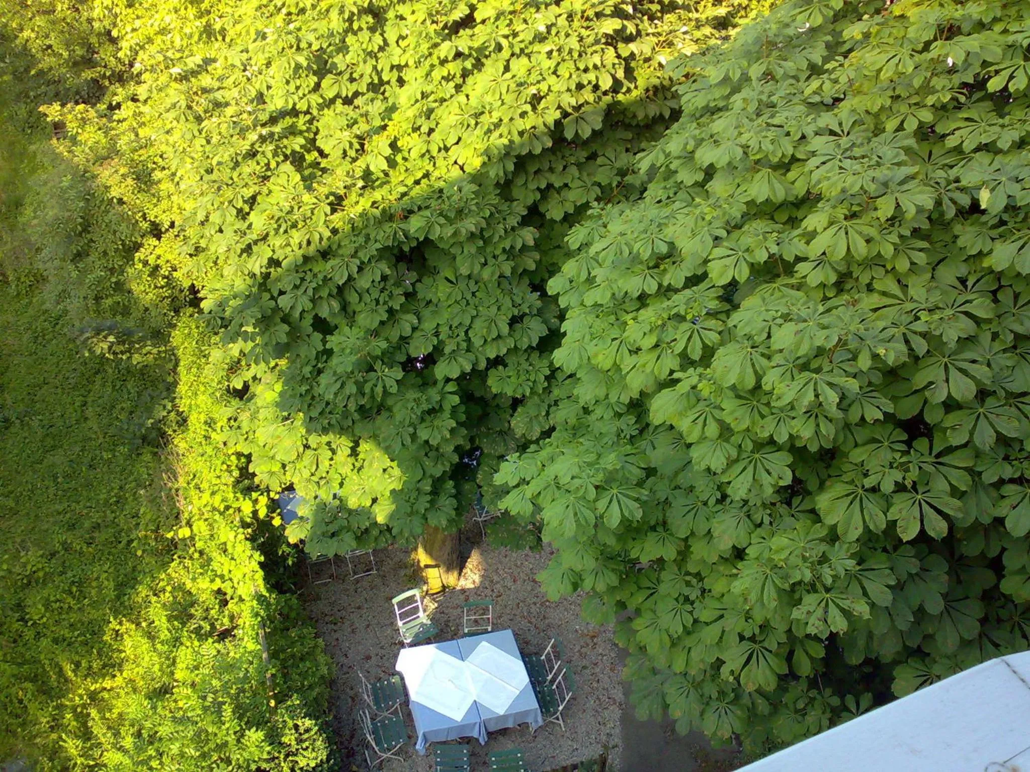 Garden view in Hotel Gasthof Seefelder Hof