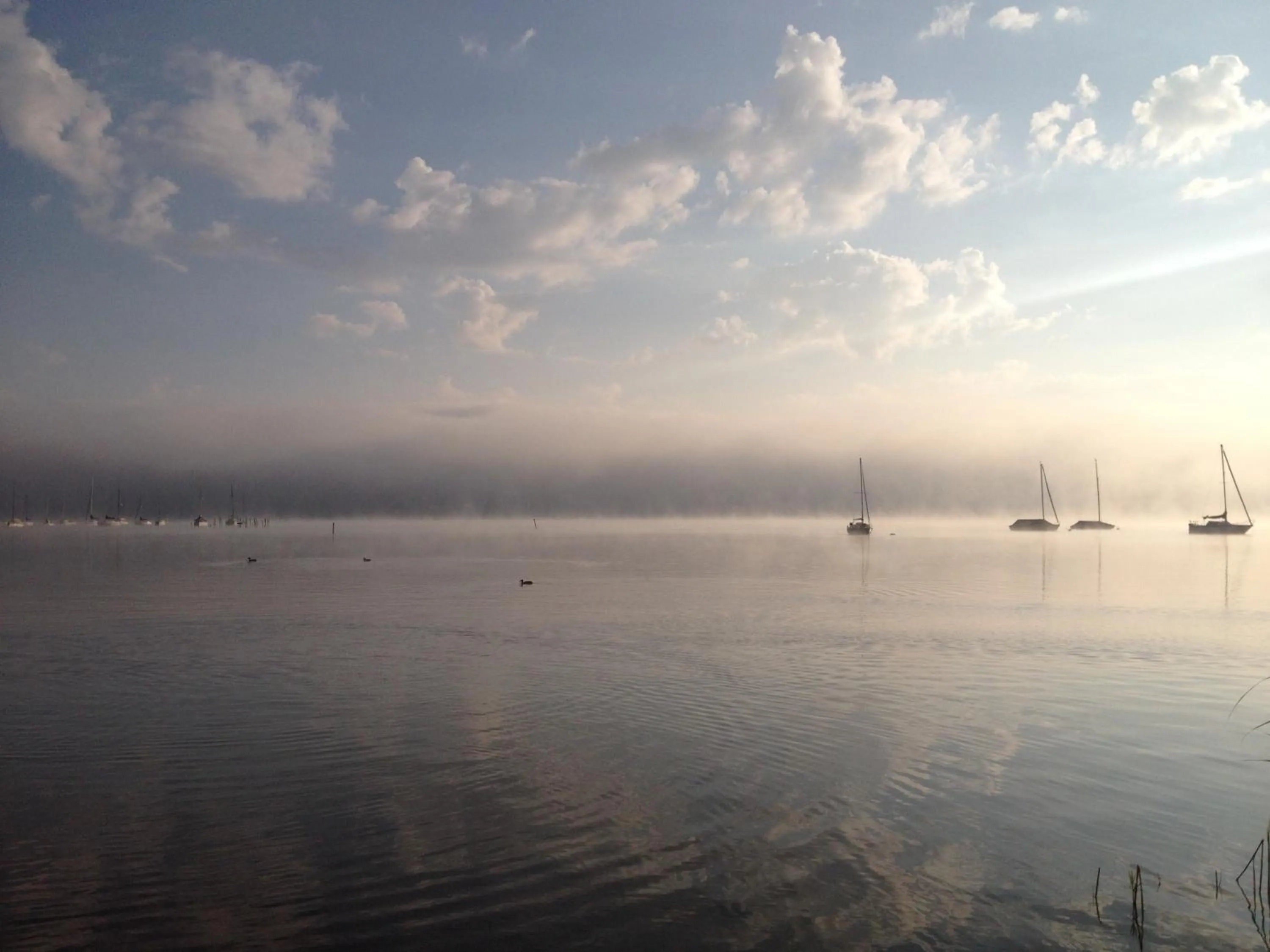 Area and facilities in Hotel Gasthof Seefelder Hof