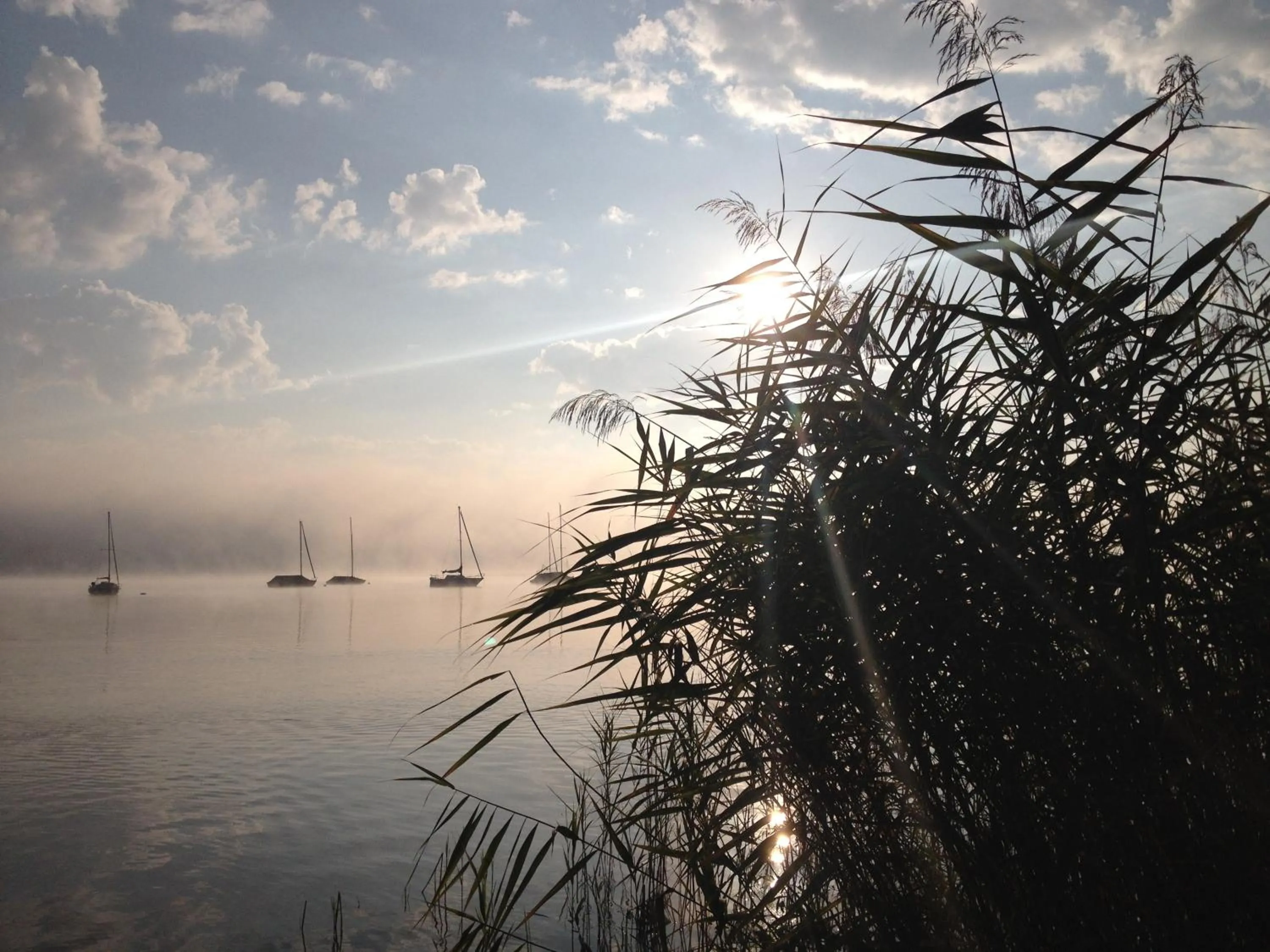 Area and facilities in Hotel Gasthof Seefelder Hof