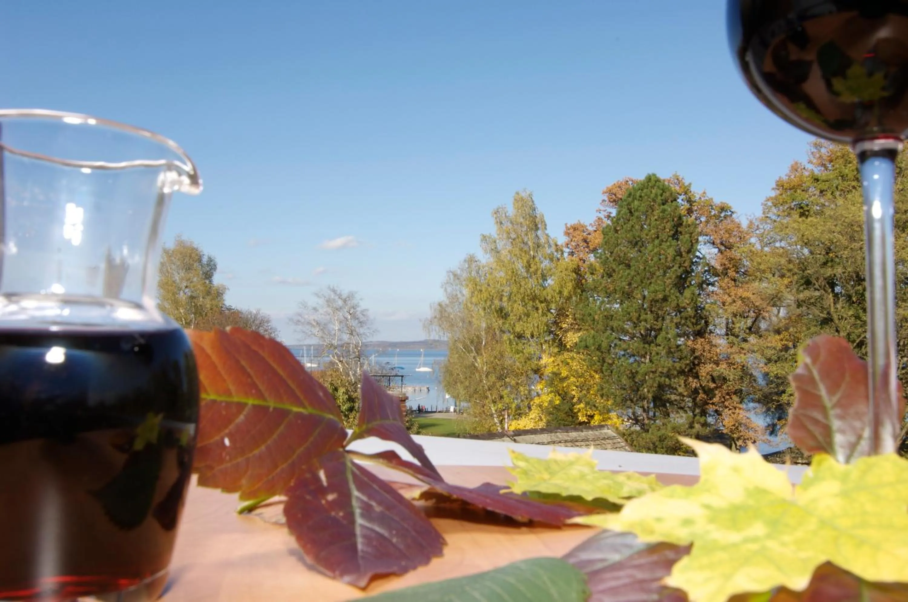 Other in Hotel Gasthof Seefelder Hof