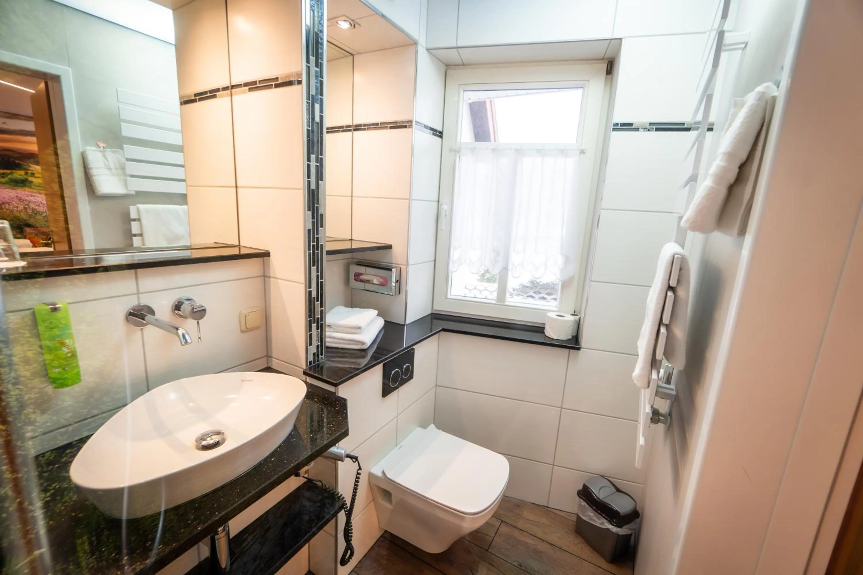 Toilet in Landhotel Zur Grünen Kutte