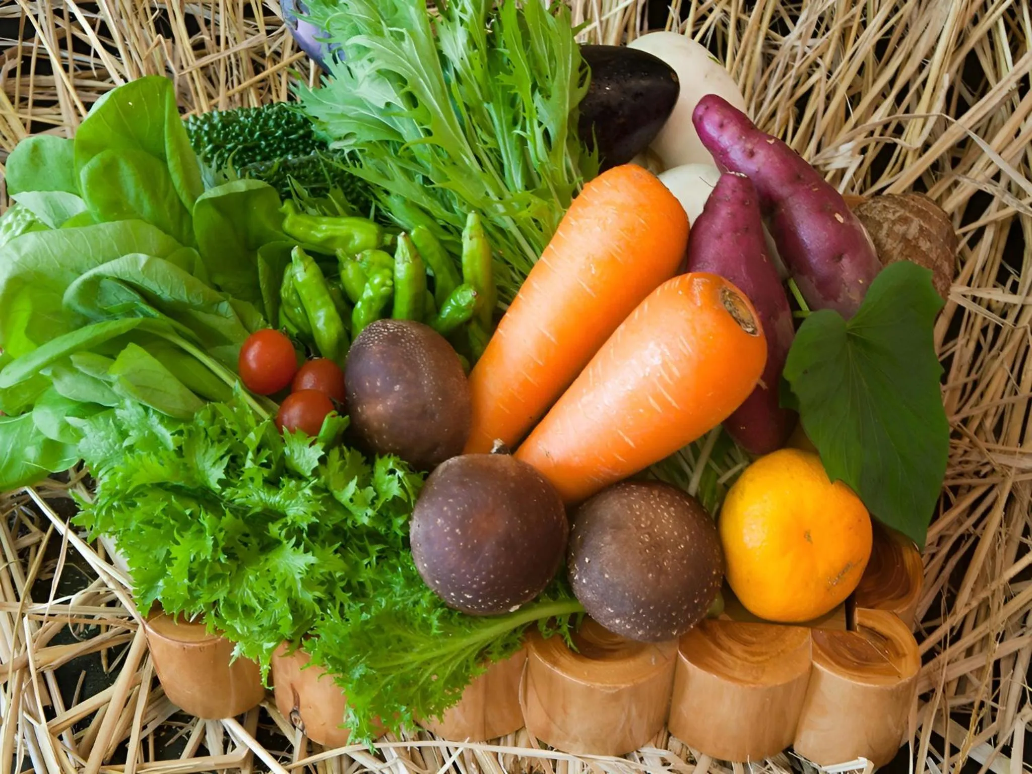 Kirishima miyama hotel