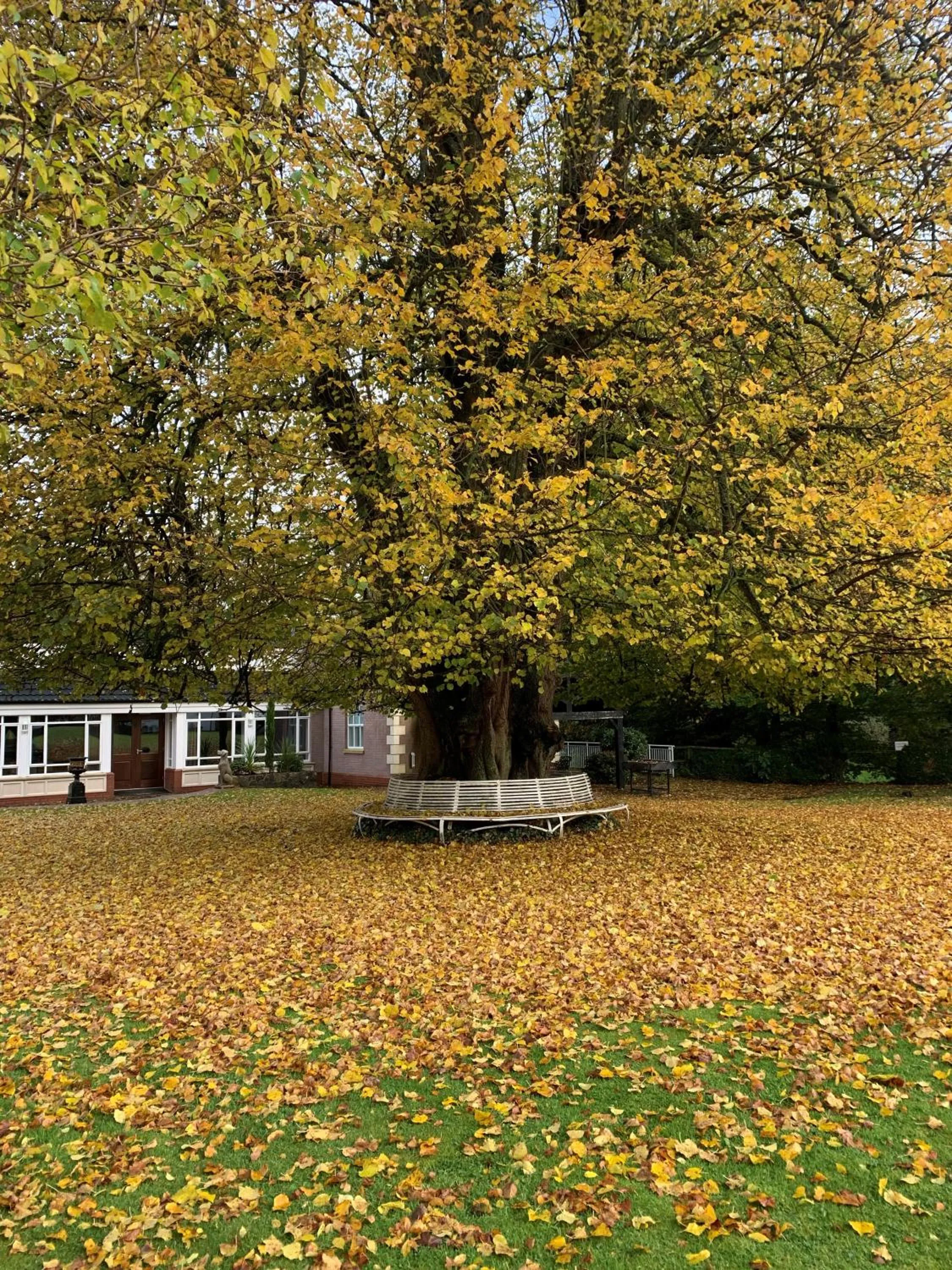 Natural landscape in Dunadry Hotel And Gardens