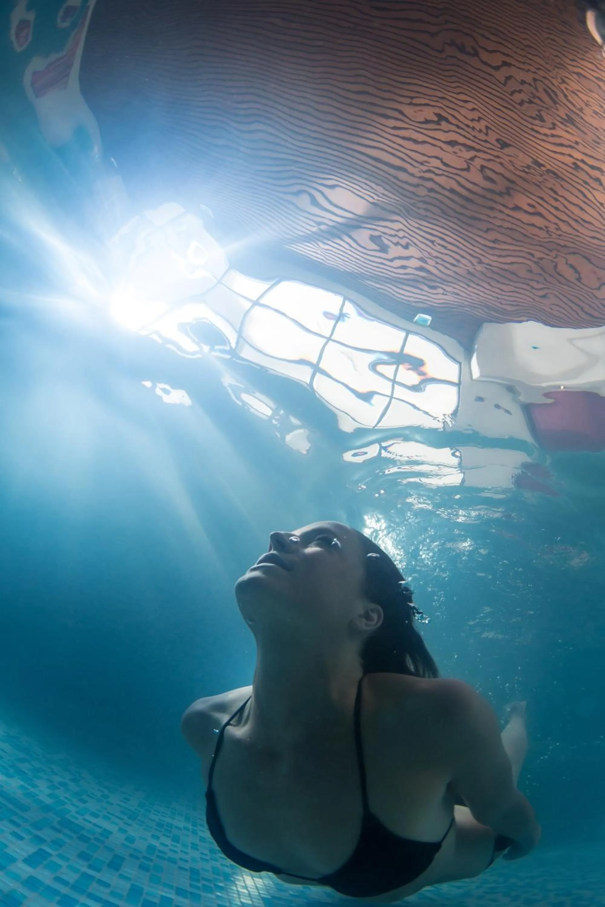 Pets in The Club Hotel & Spa Jersey