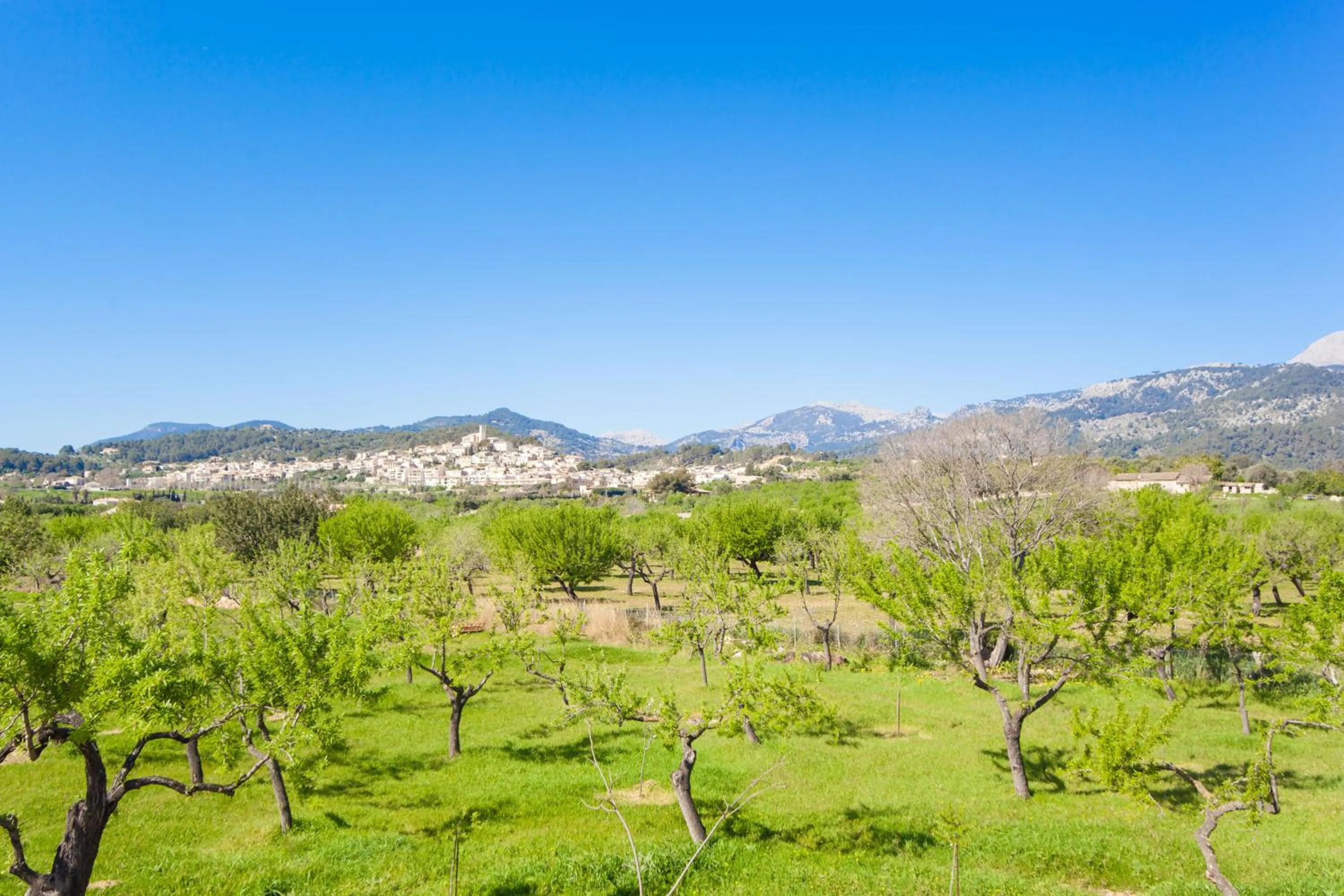 Natural landscape in Ses Planes -Ca Na Faustina-