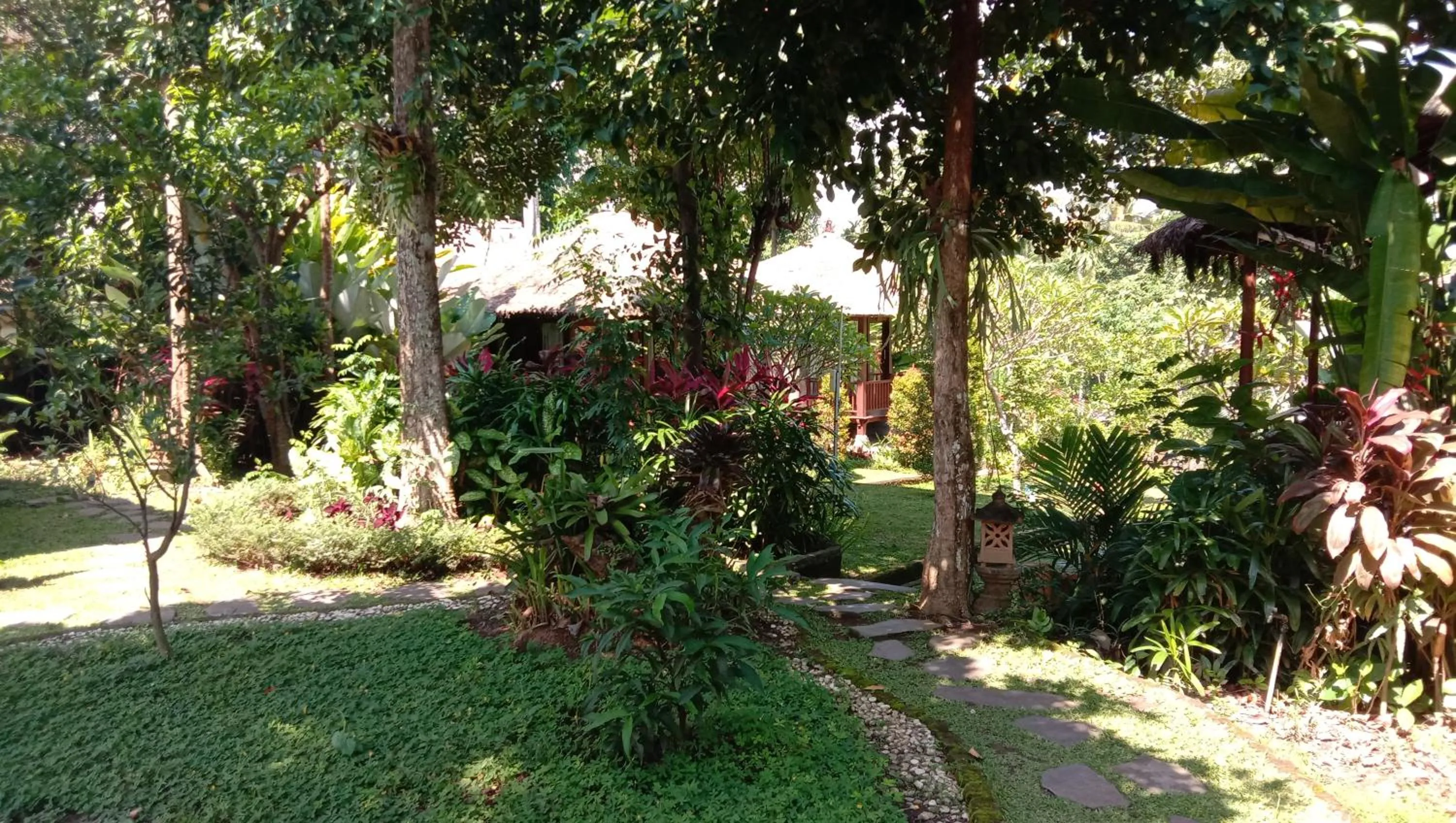 Garden in Astawa House