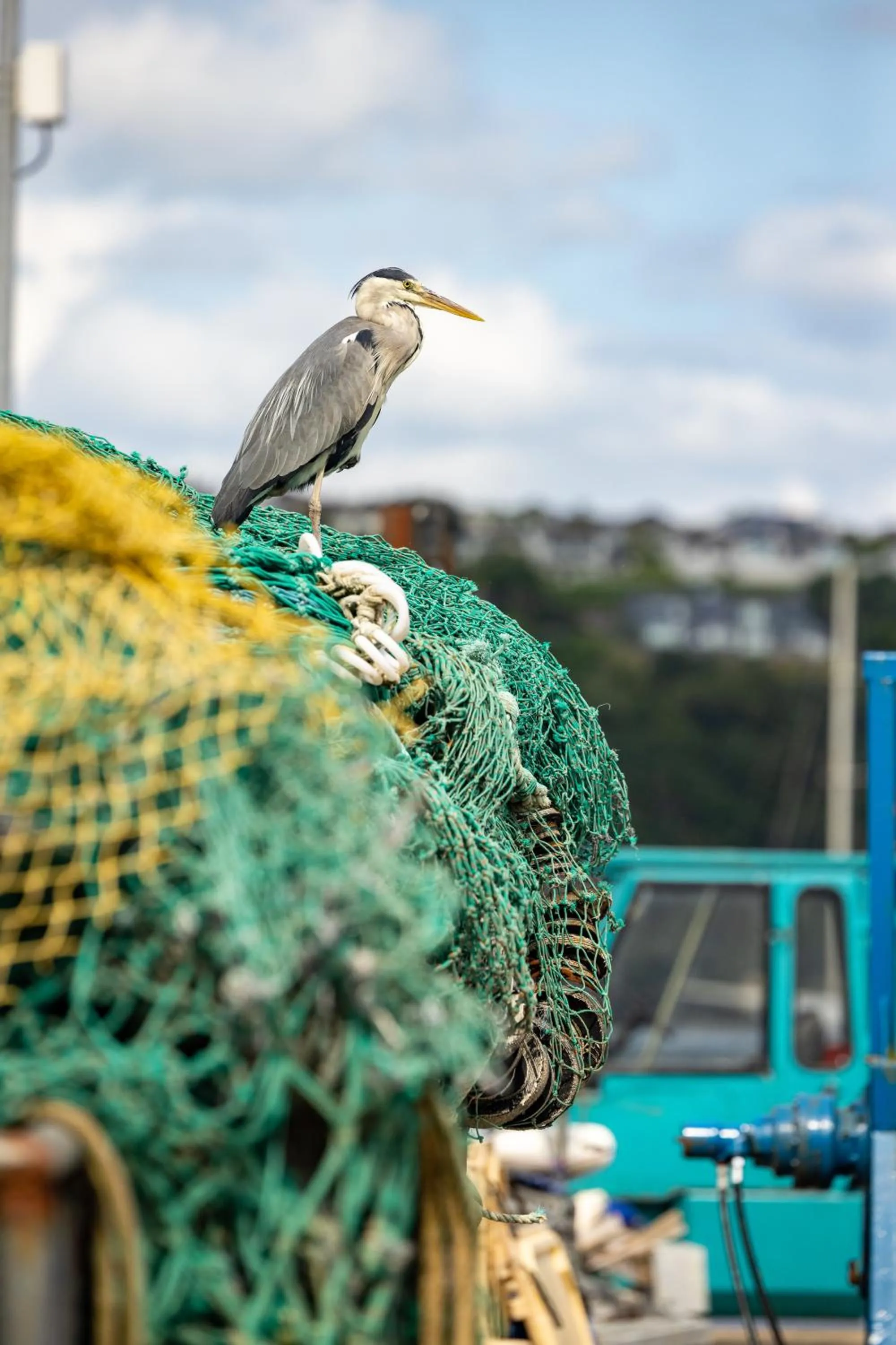 Trident Hotel Kinsale