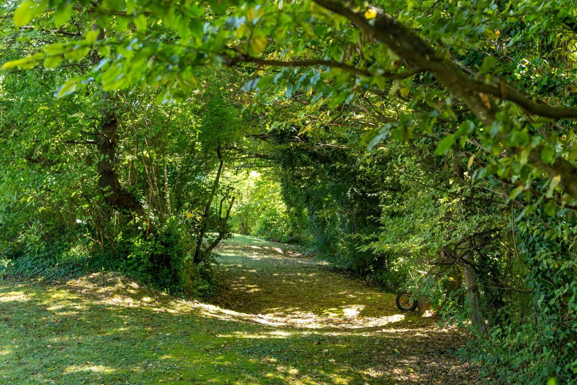 Natural landscape in Hôtel des Trois Massifs
