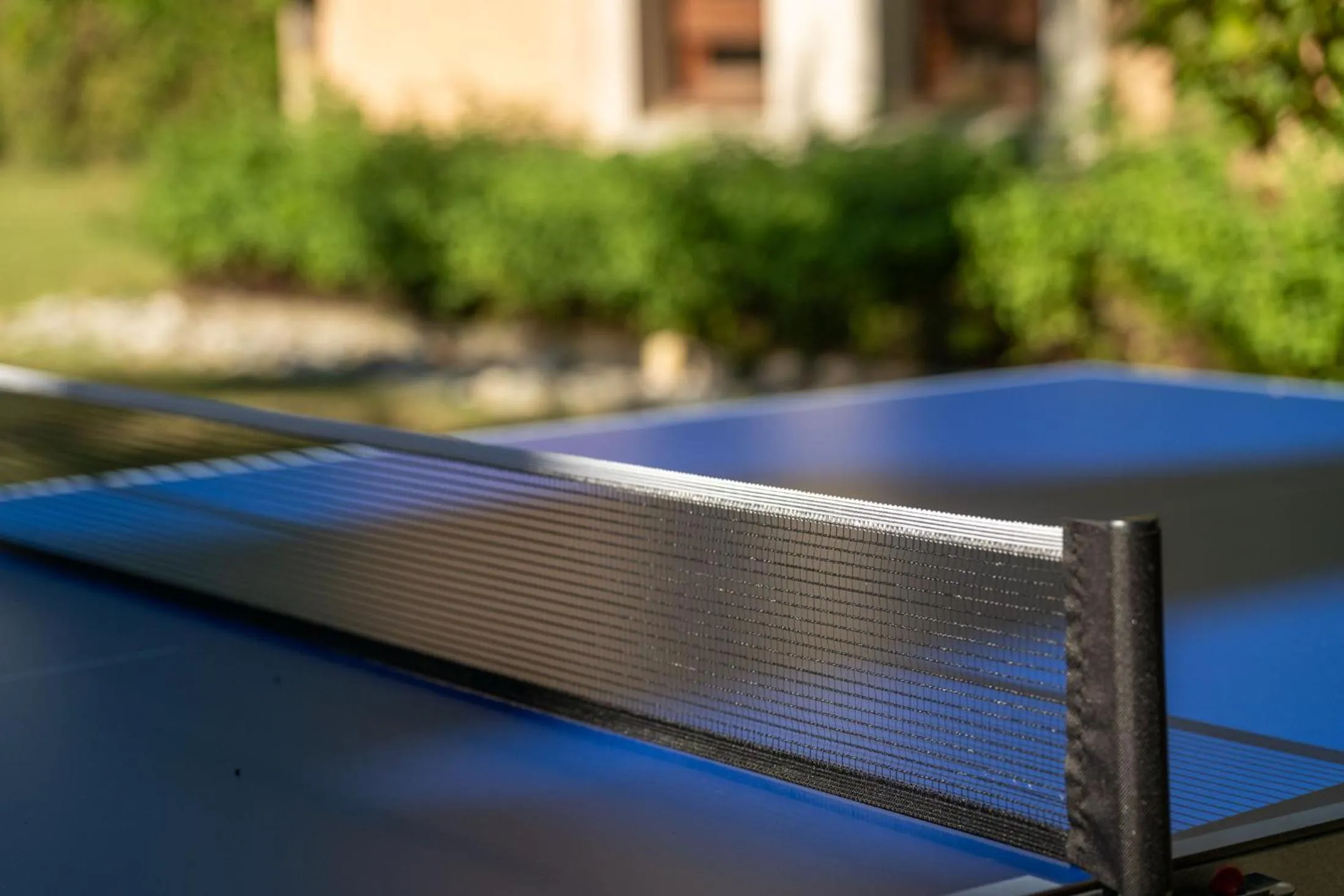 Table tennis in Hôtel des Trois Massifs