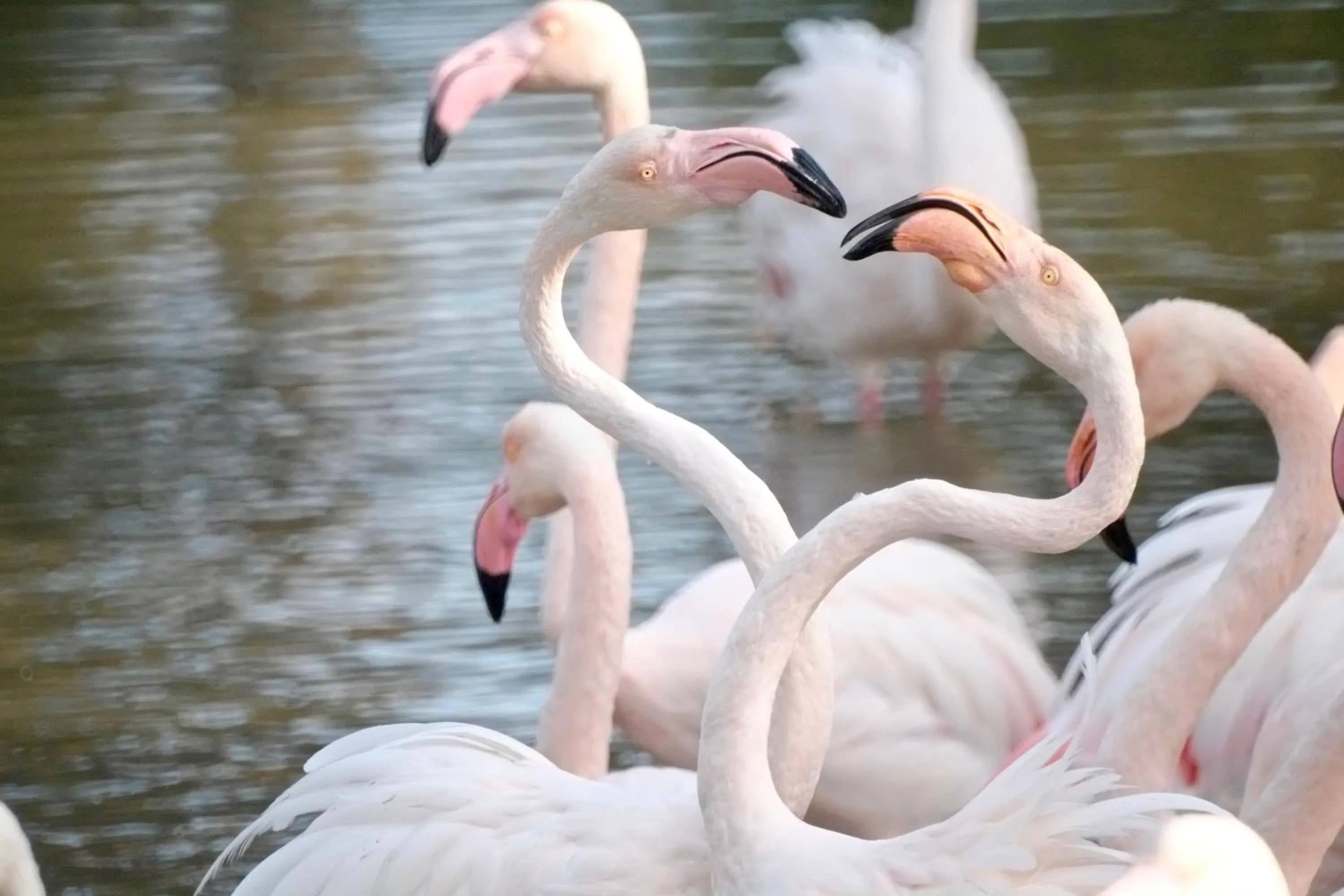 Hiking in Best Western Hôtel Aurélia