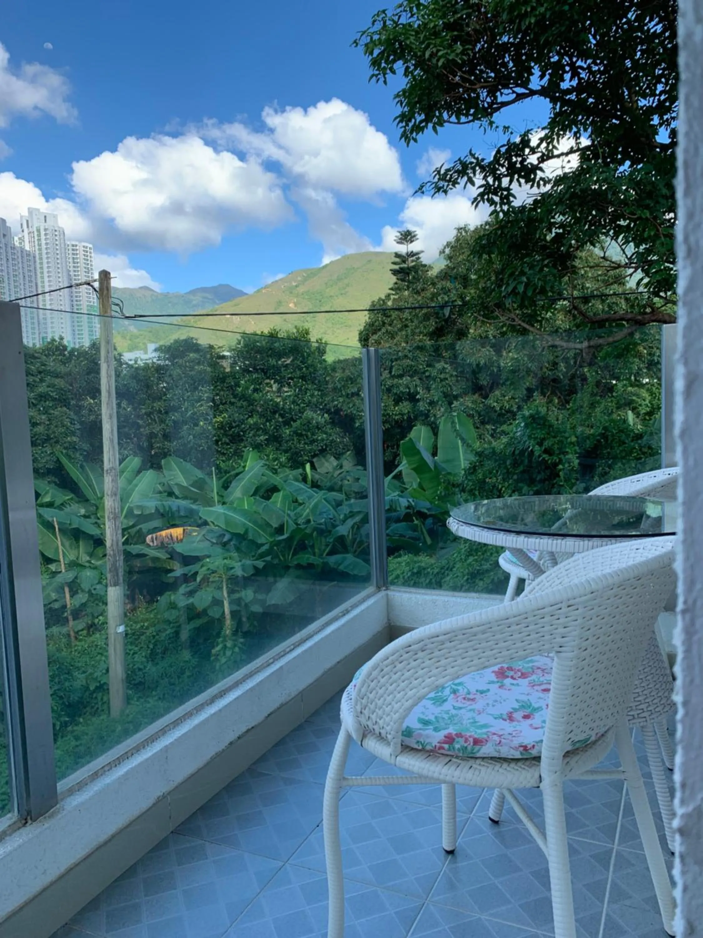 Garden view in City Oasis Guesthouse