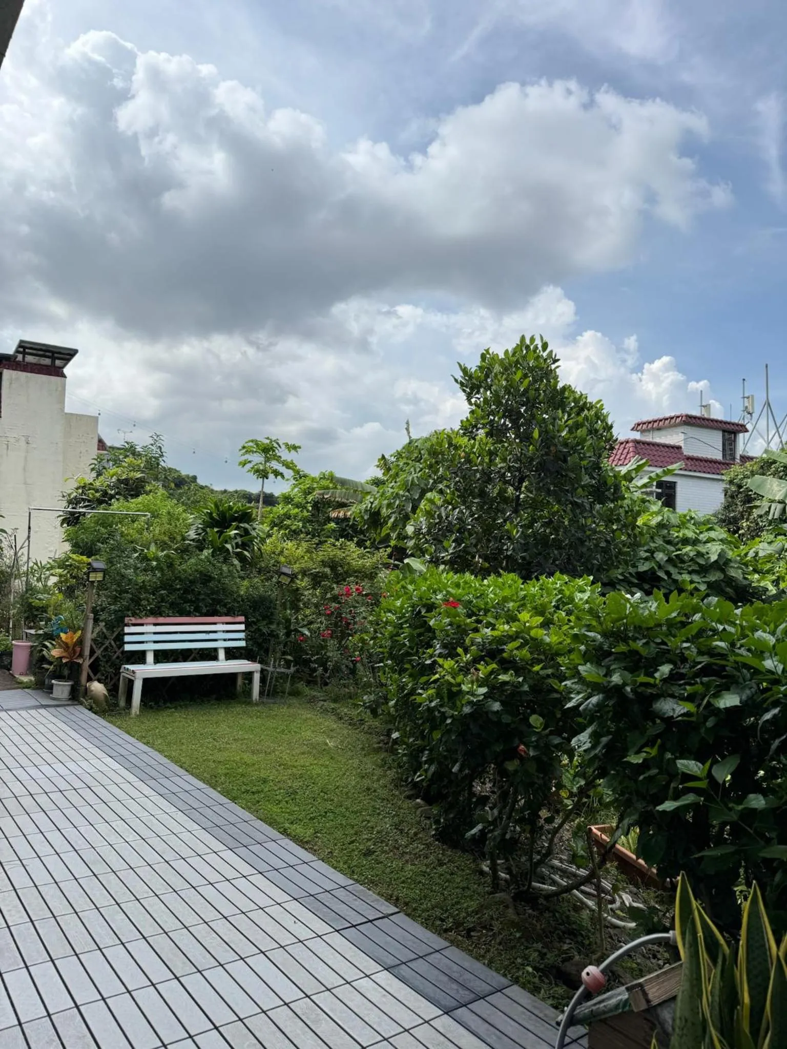 City Oasis Guesthouse