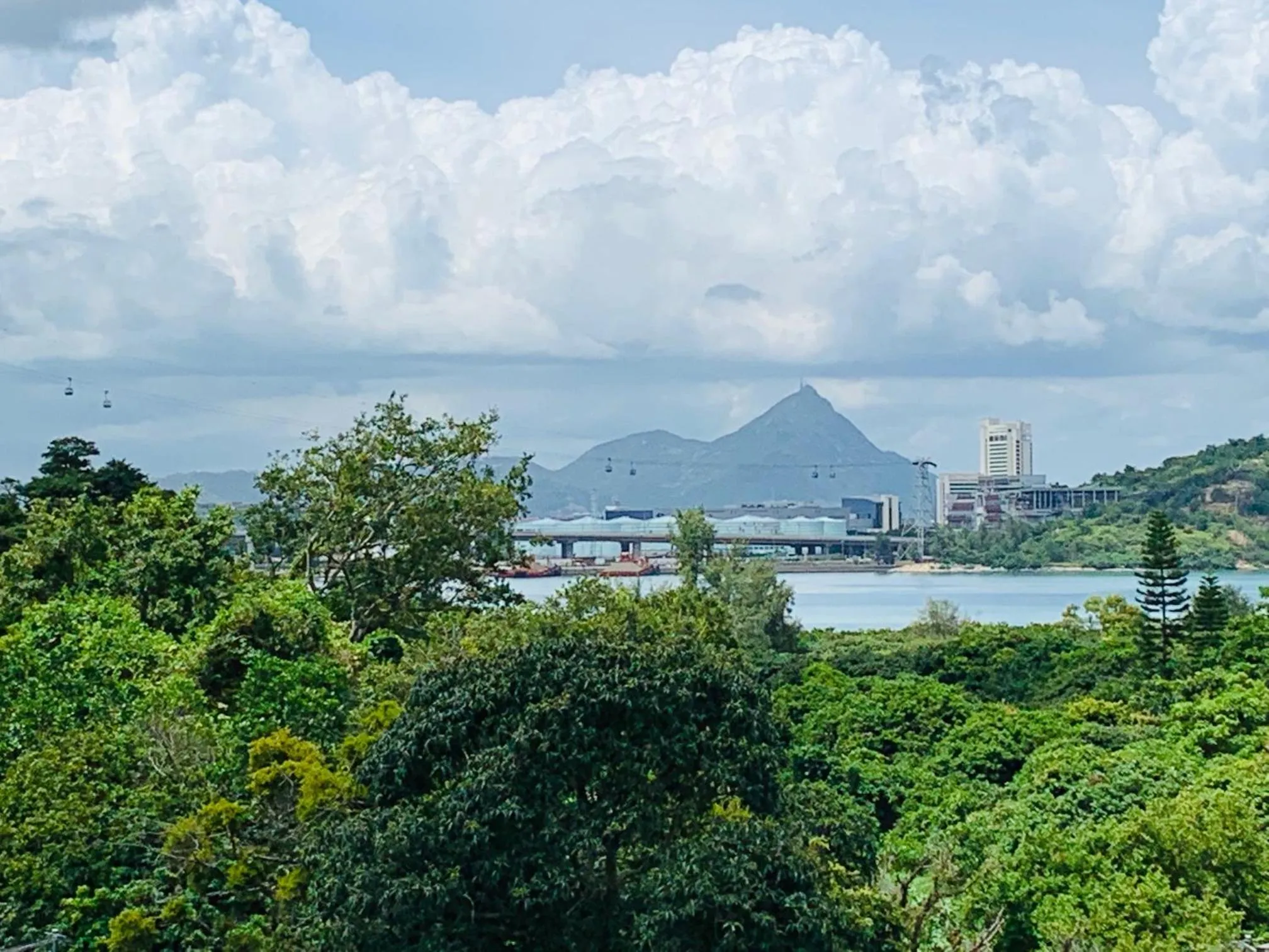 Balcony/Terrace in City Oasis Guesthouse