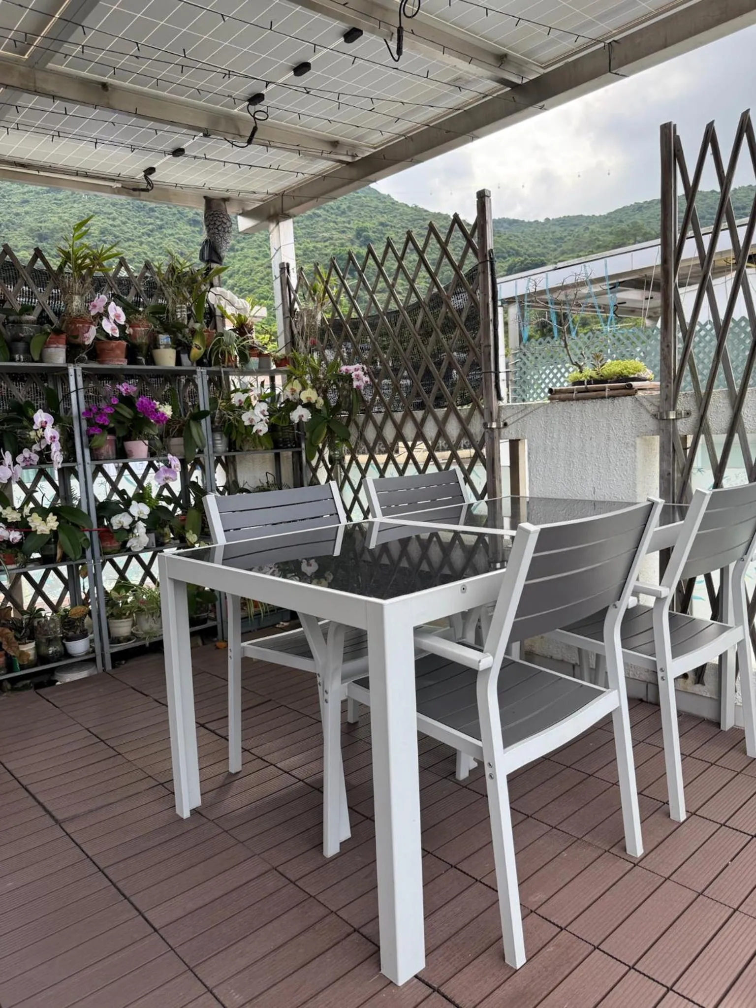 City Oasis Guesthouse