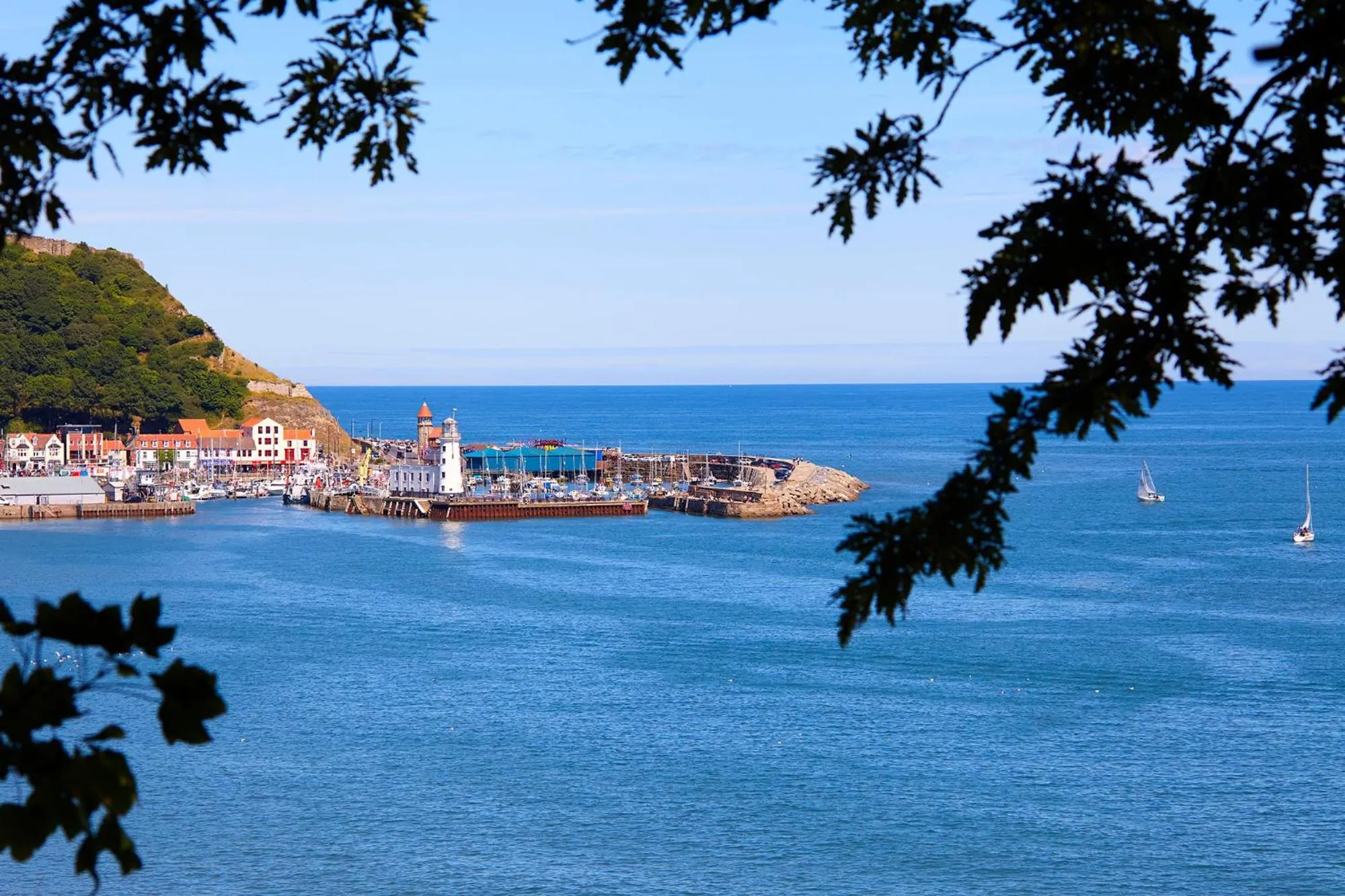Natural landscape in Mansion House