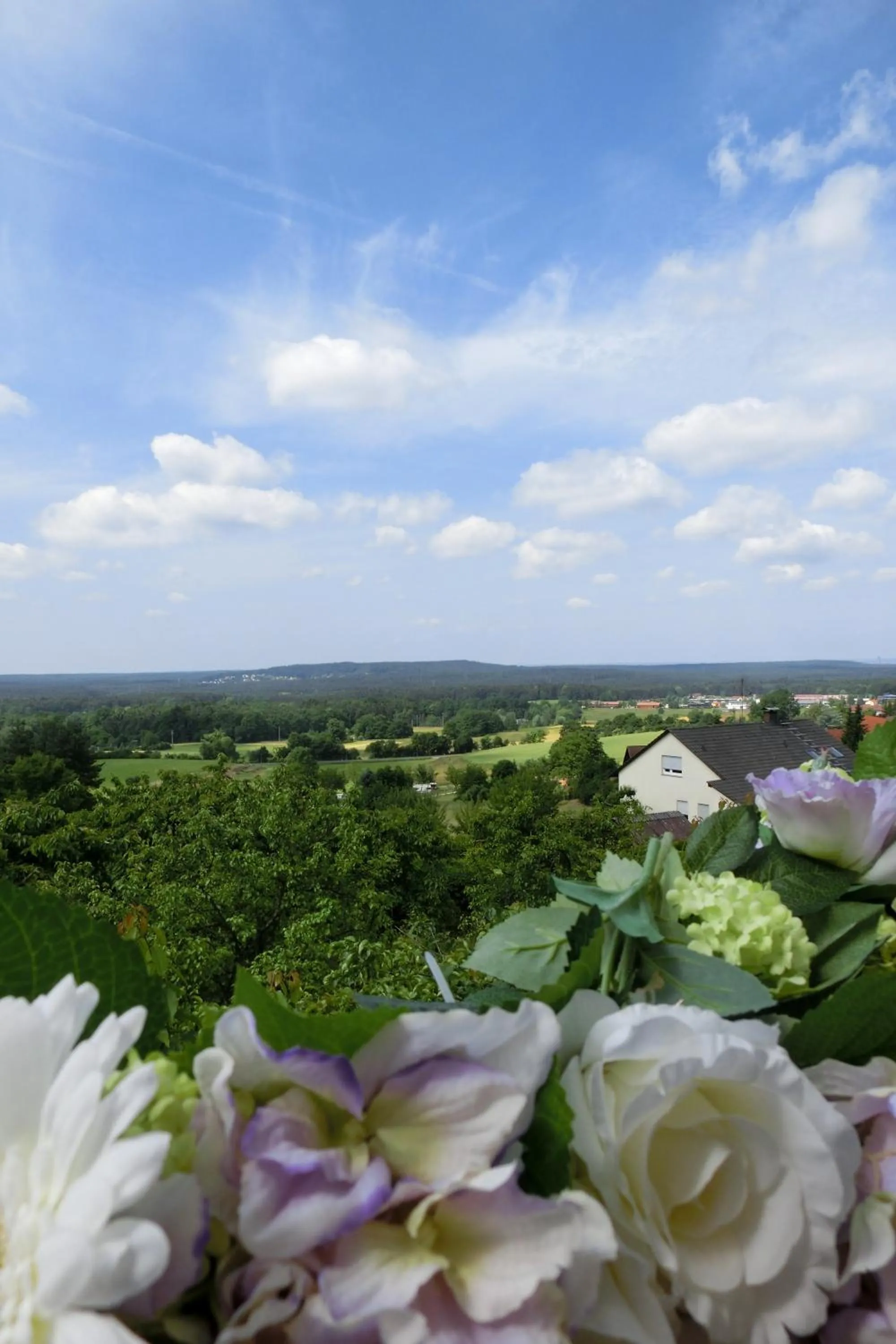 View (from property/room) in Hotel-Restaurant Distlerhof