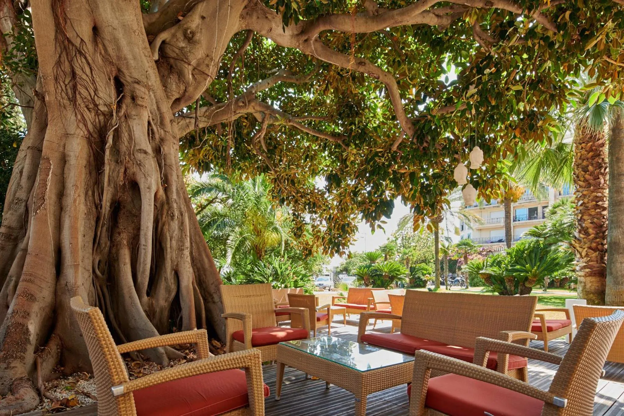 Garden in Hôtel Vacances Bleues Royal Westminster