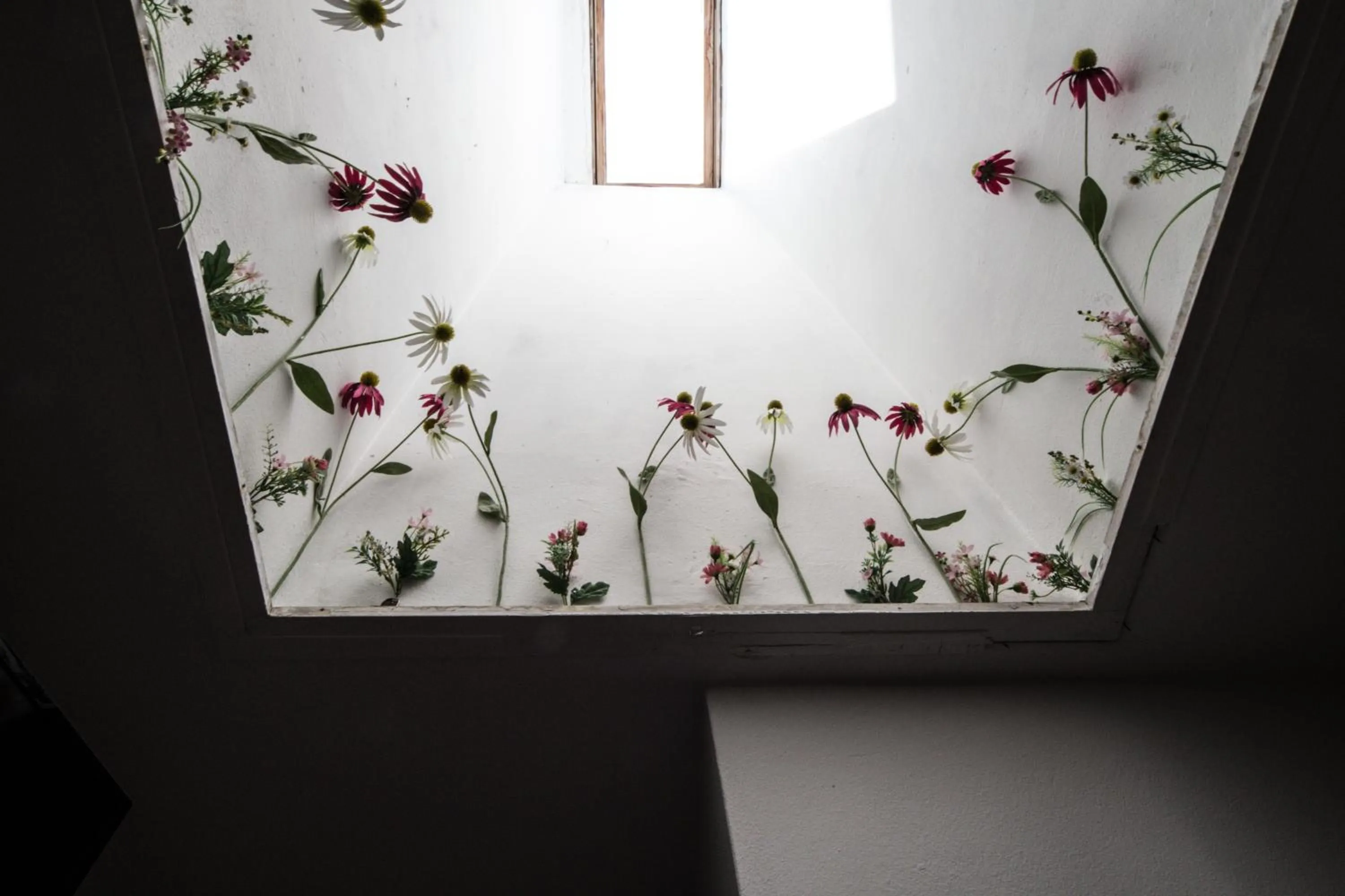 Decorative detail in Hotel Porta Marmorea