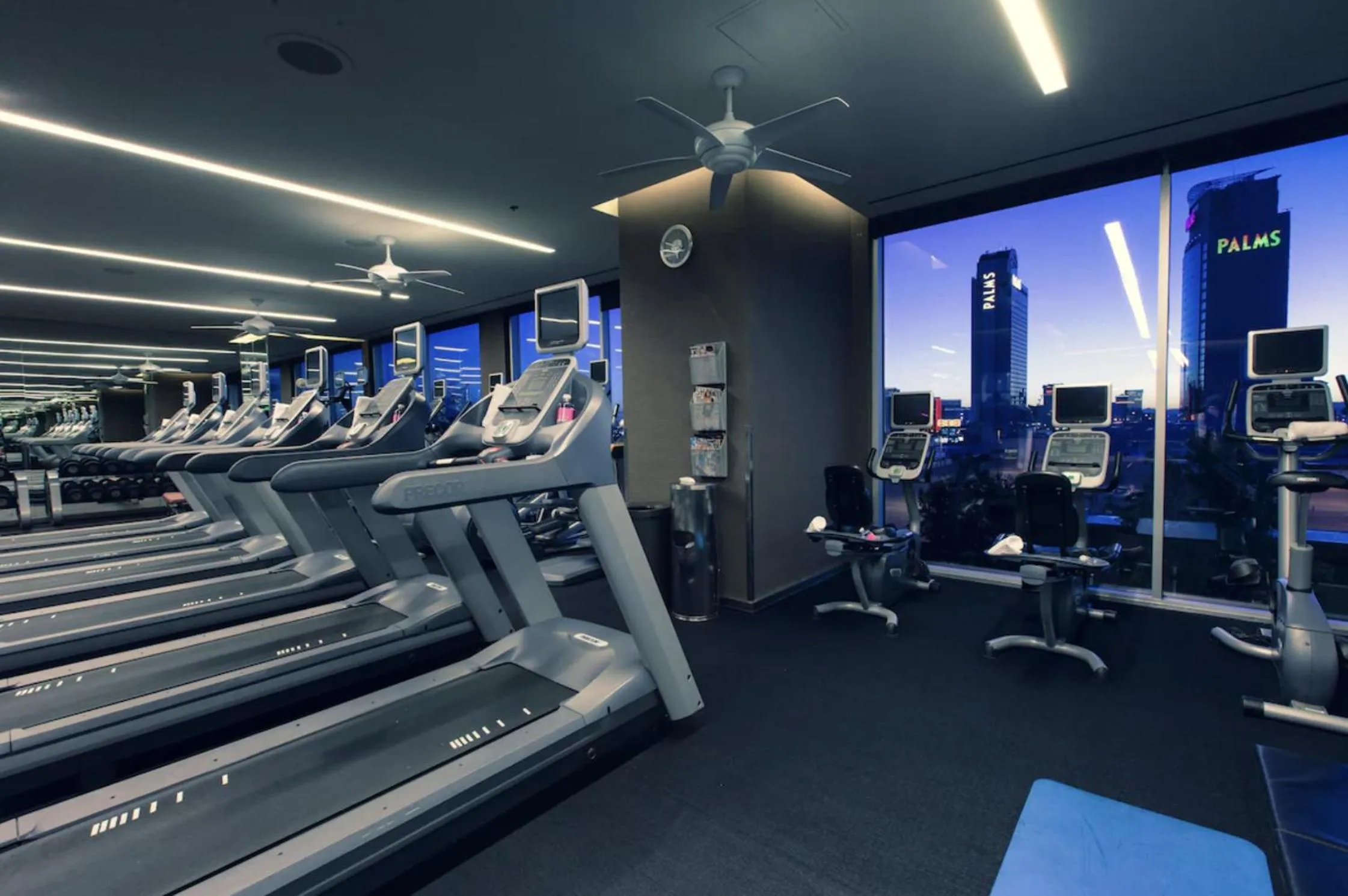Fitness centre/facilities in Luxury Suites at Palms Place