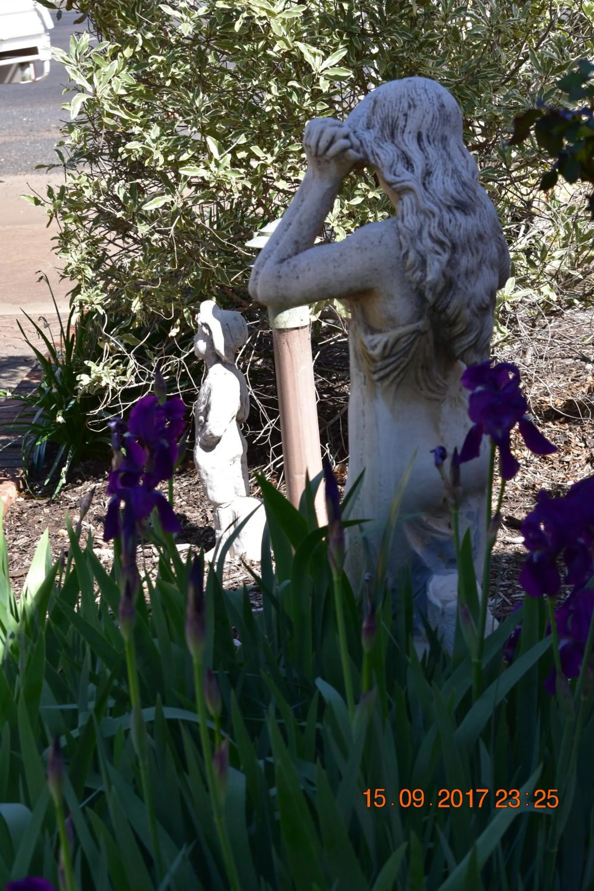 Garden in Cooee Motel